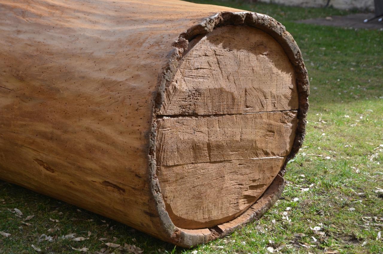 Große 19. Jahrhundert Wood Storage Vessel im Angebot 2