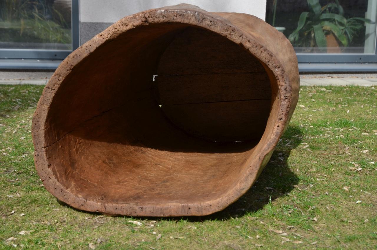 Große 19. Jahrhundert Wood Storage Vessel im Angebot 3
