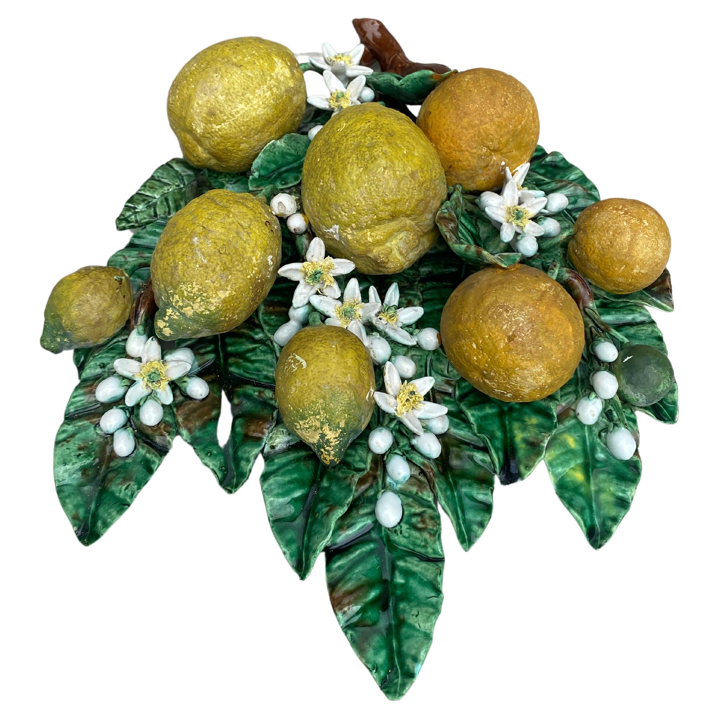 Grande e rara targa da parete in maiolica del XIX secolo con arance e limoni  
