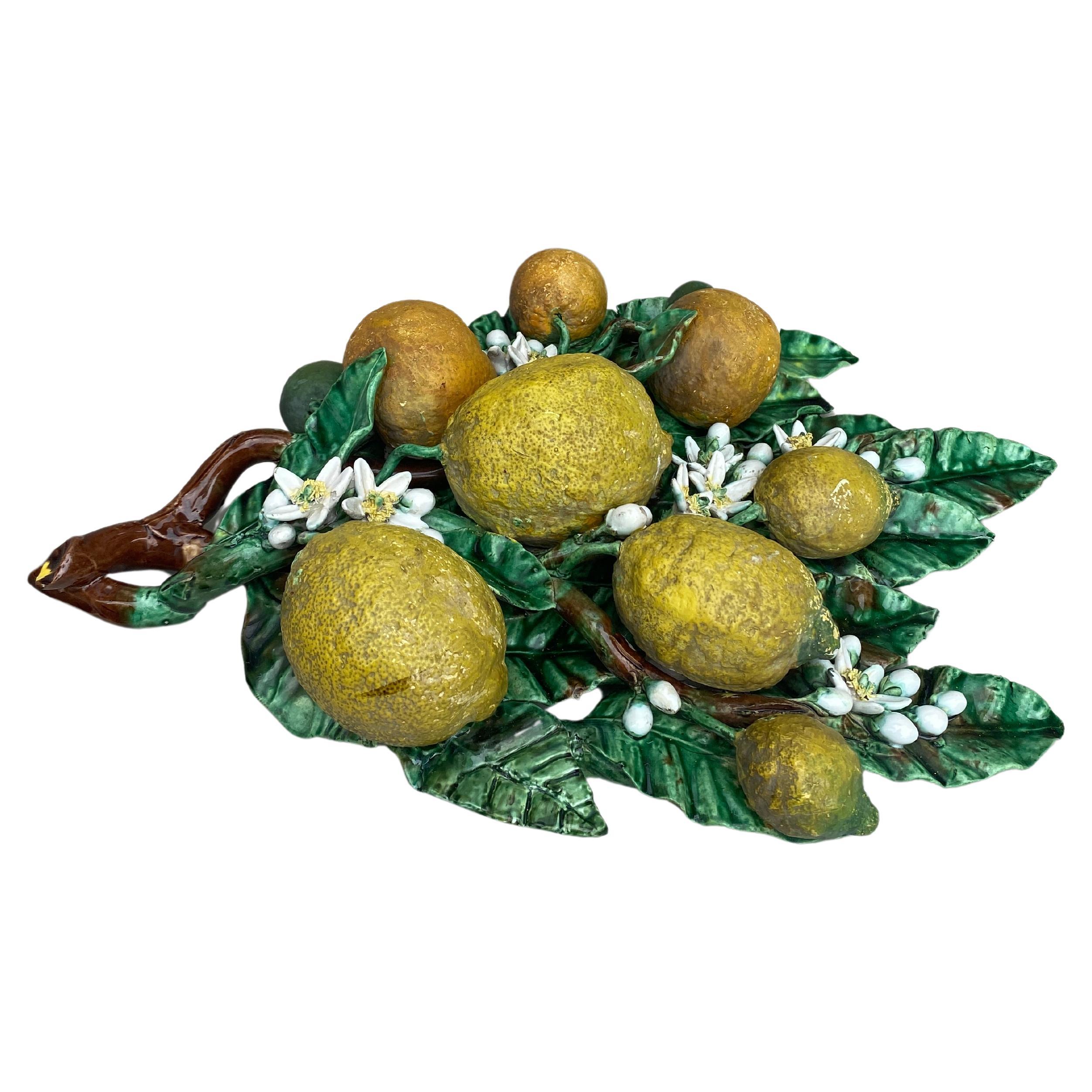Country Grande maiolica del XIX secolo Arance e Limoni Applique Perret-Gentil Menton in vendita