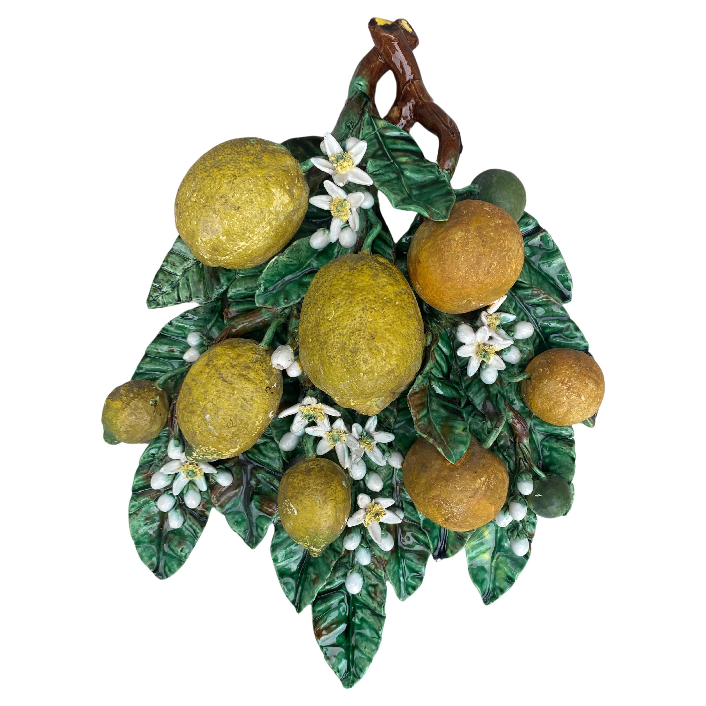 Grande maiolica del XIX secolo Arance e Limoni Applique Perret-Gentil Menton In condizioni buone in vendita a Austin, TX