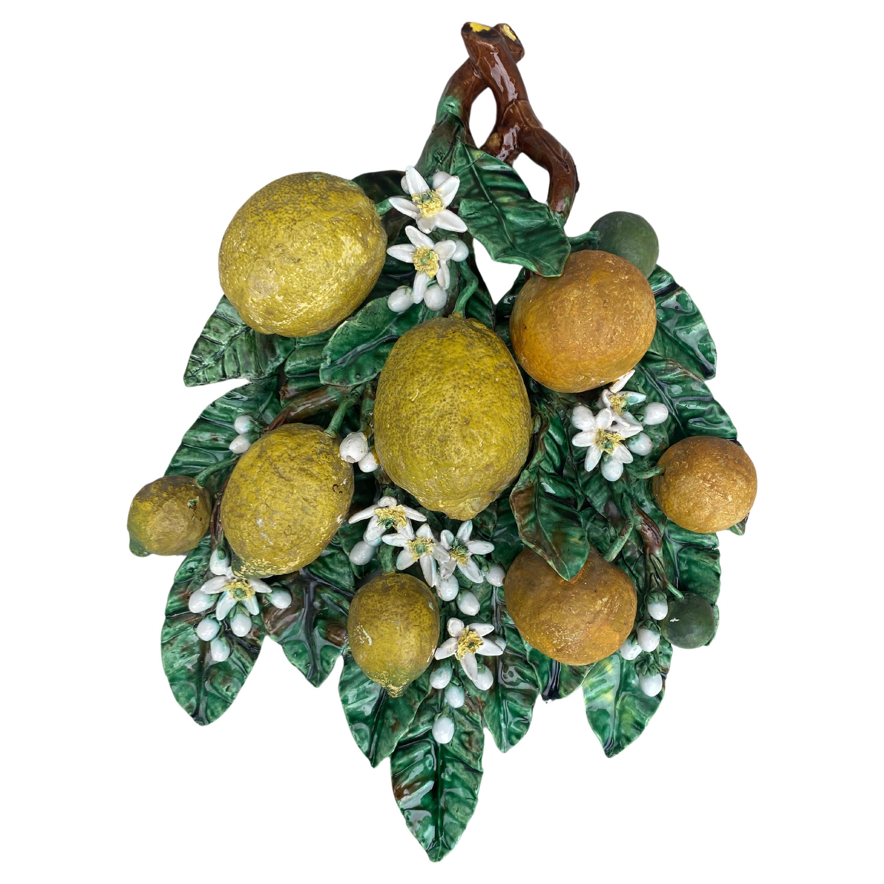 Large 19th Majolica Oranges & Lemons Applique Perret Gentil Menton In Good Condition For Sale In Austin, TX