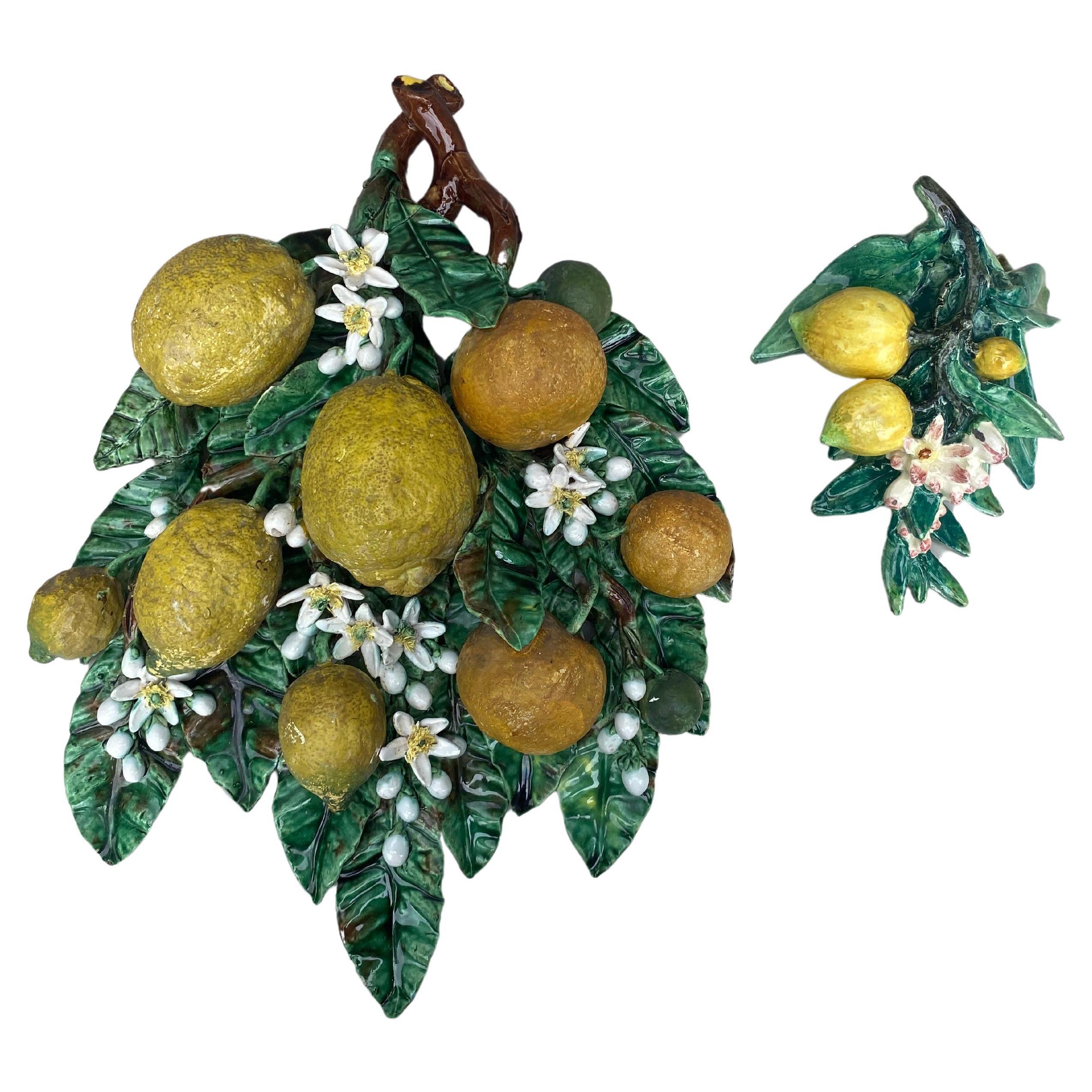 Large 19th Majolica Oranges & Lemons Applique Perret Gentil Menton For Sale 2