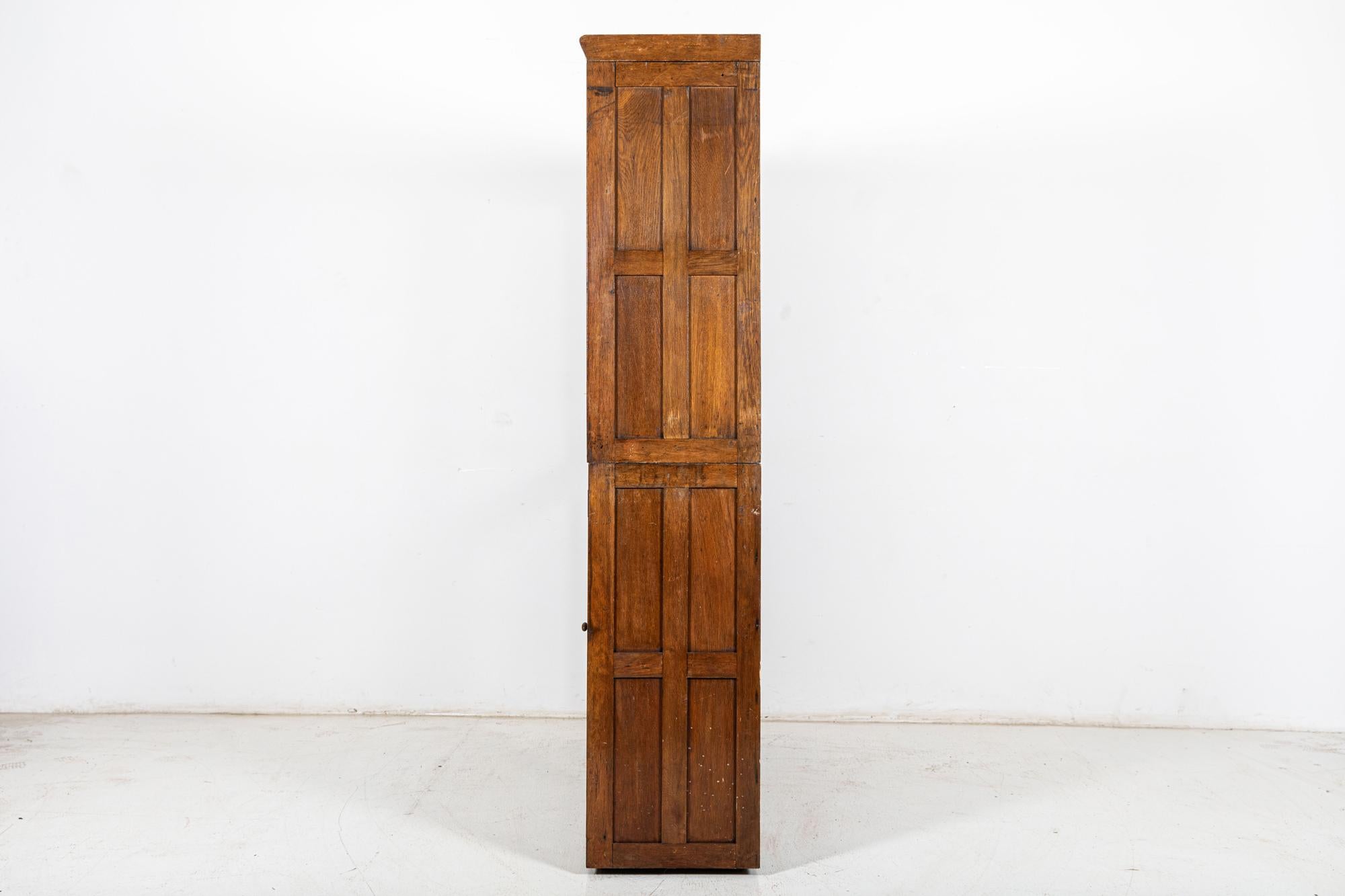 Large 19thC English Oak Glazed Museum Display Cabinet For Sale 2