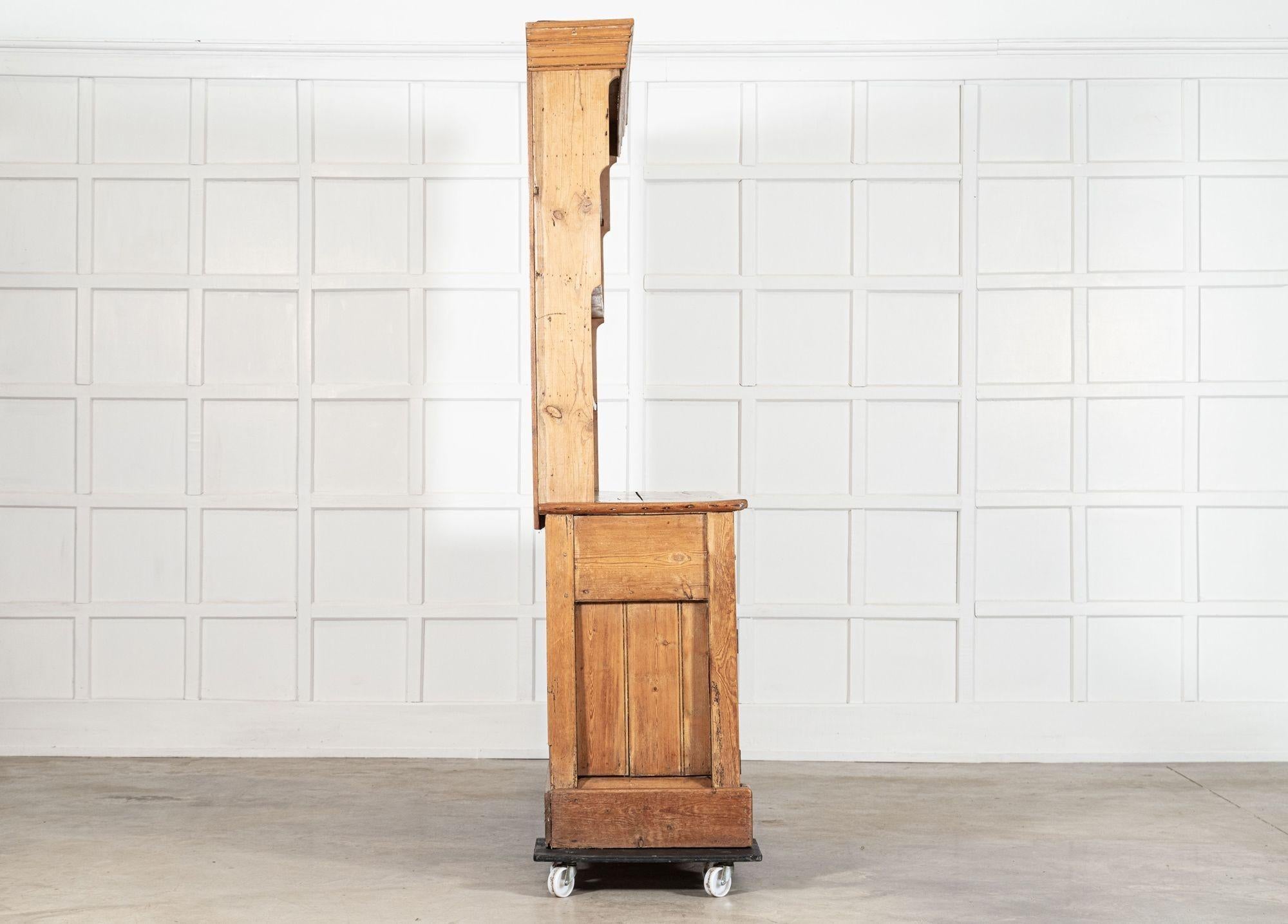 Grande cassettone inglese in pino del XIX secolo in vendita 2