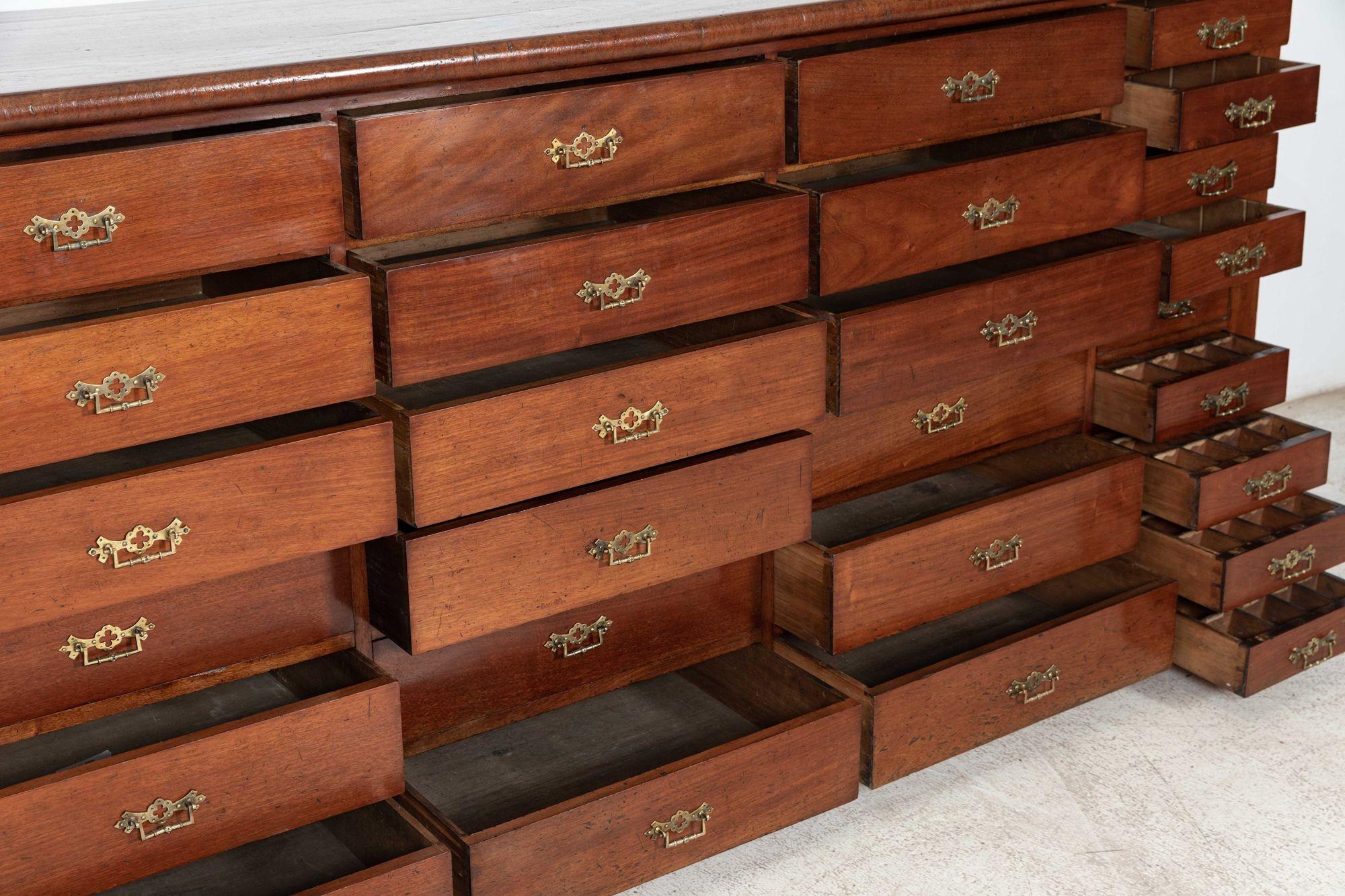 Large 19thC Mahogany Museum Bank of Drawers Cabinet For Sale 6