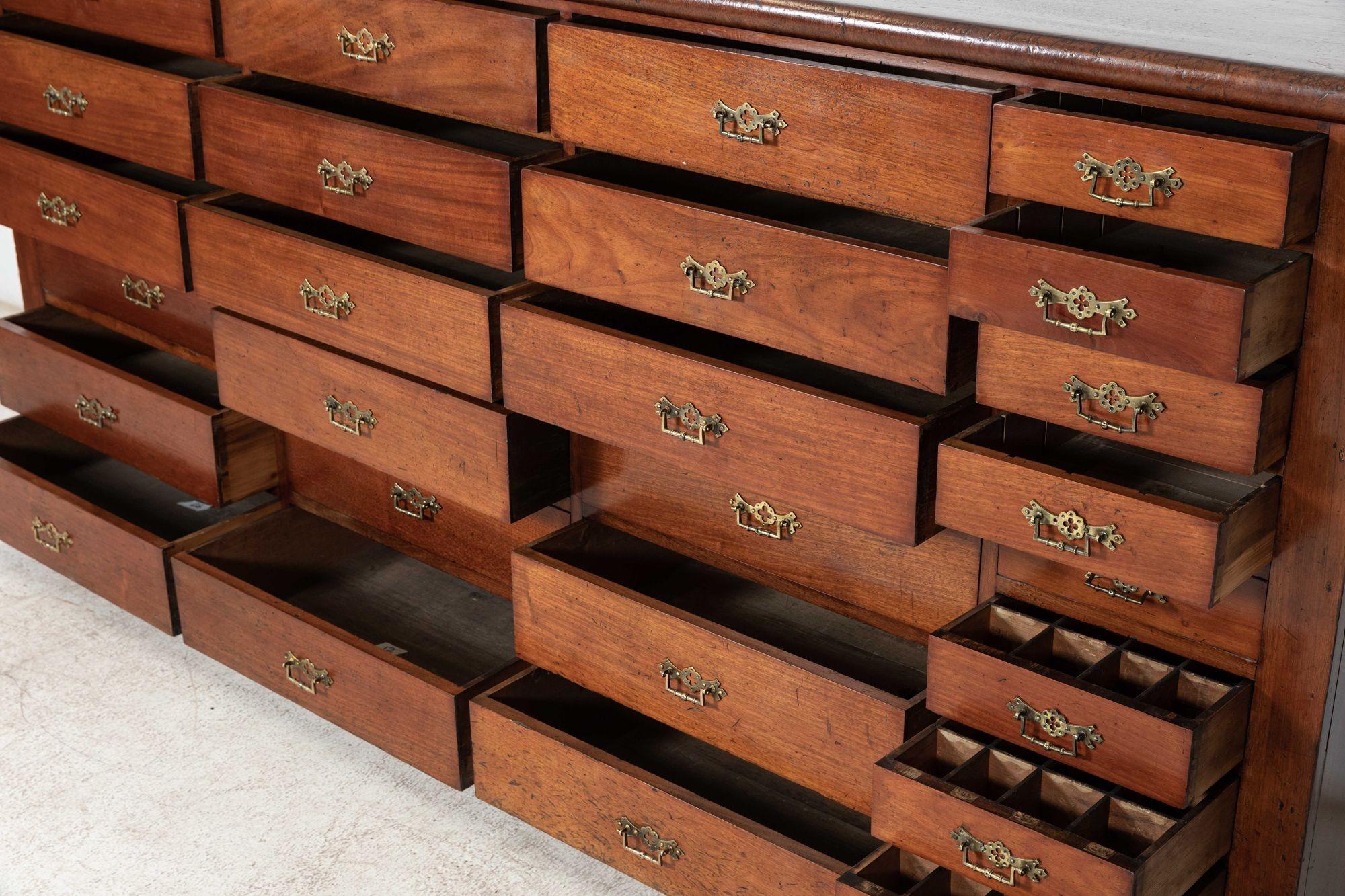 Large 19thC Mahogany Museum Bank of Drawers Cabinet For Sale 7