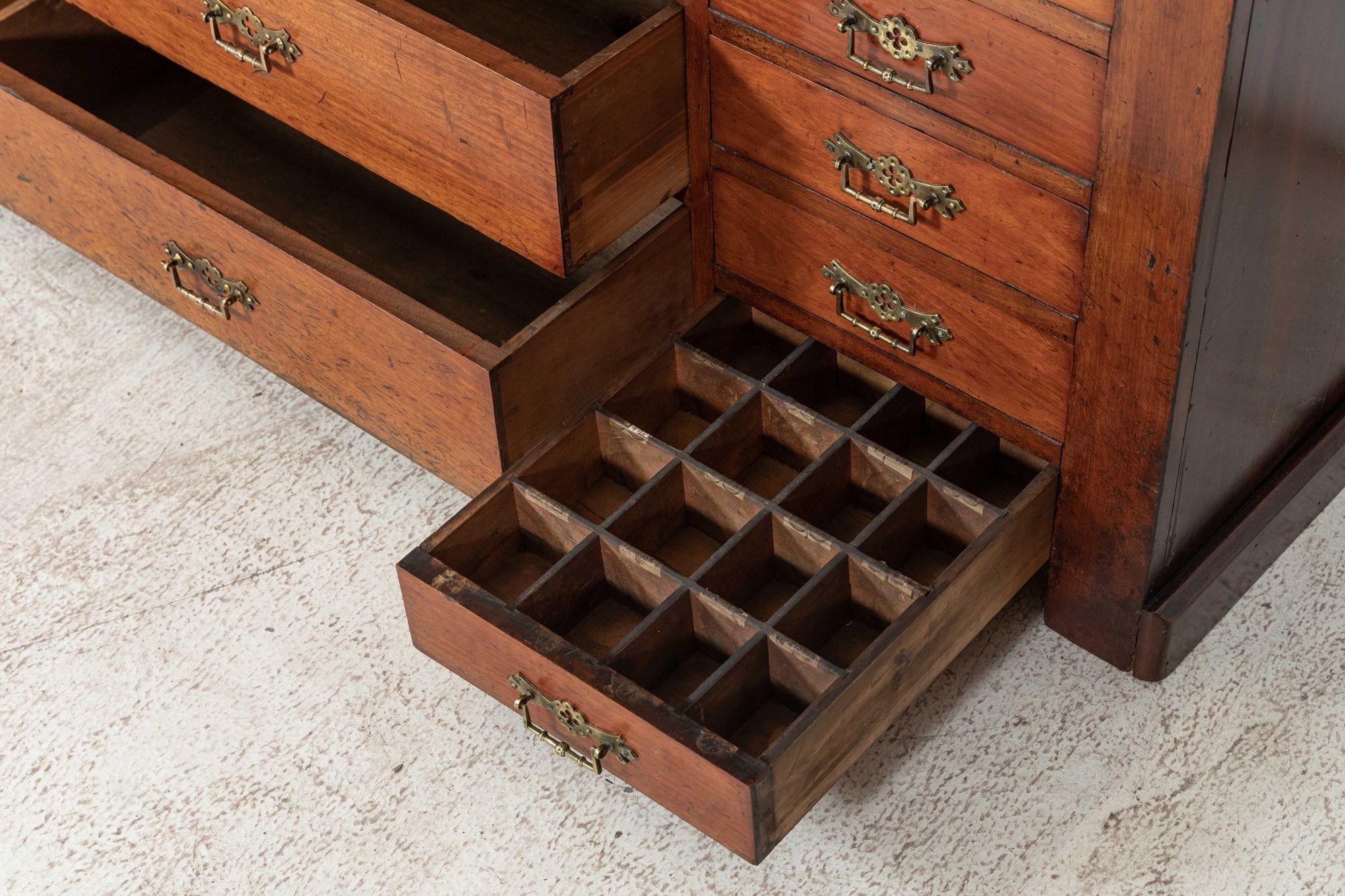 Large 19thC Mahogany Museum Bank of Drawers Cabinet For Sale 13