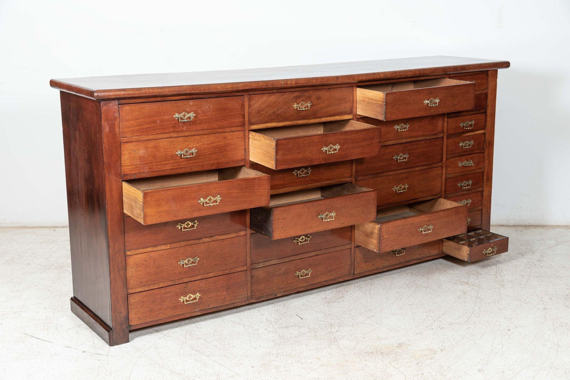 English Large 19thC Mahogany Museum Bank of Drawers Cabinet For Sale