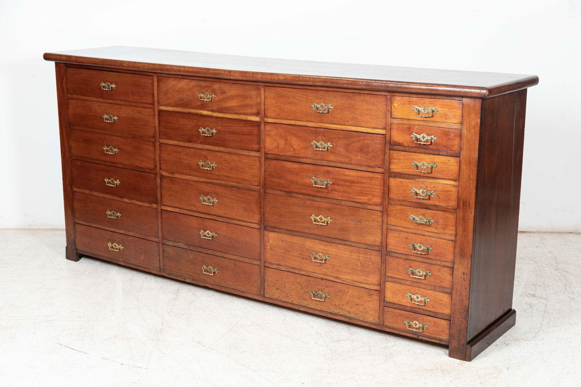 Large 19thC Mahogany Museum Bank of Drawers Cabinet For Sale 1