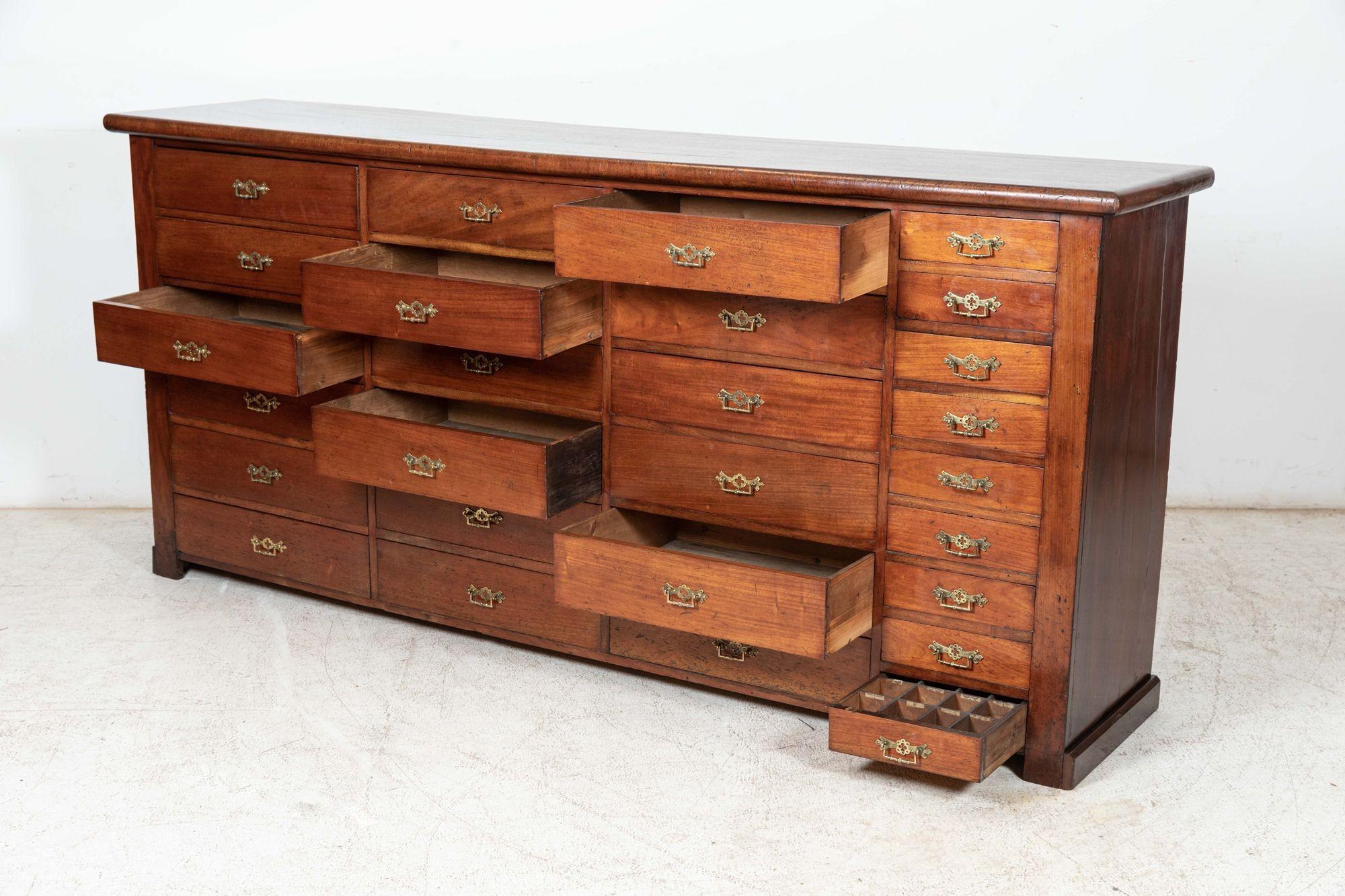 Large 19thC Mahogany Museum Bank of Drawers Cabinet For Sale 2