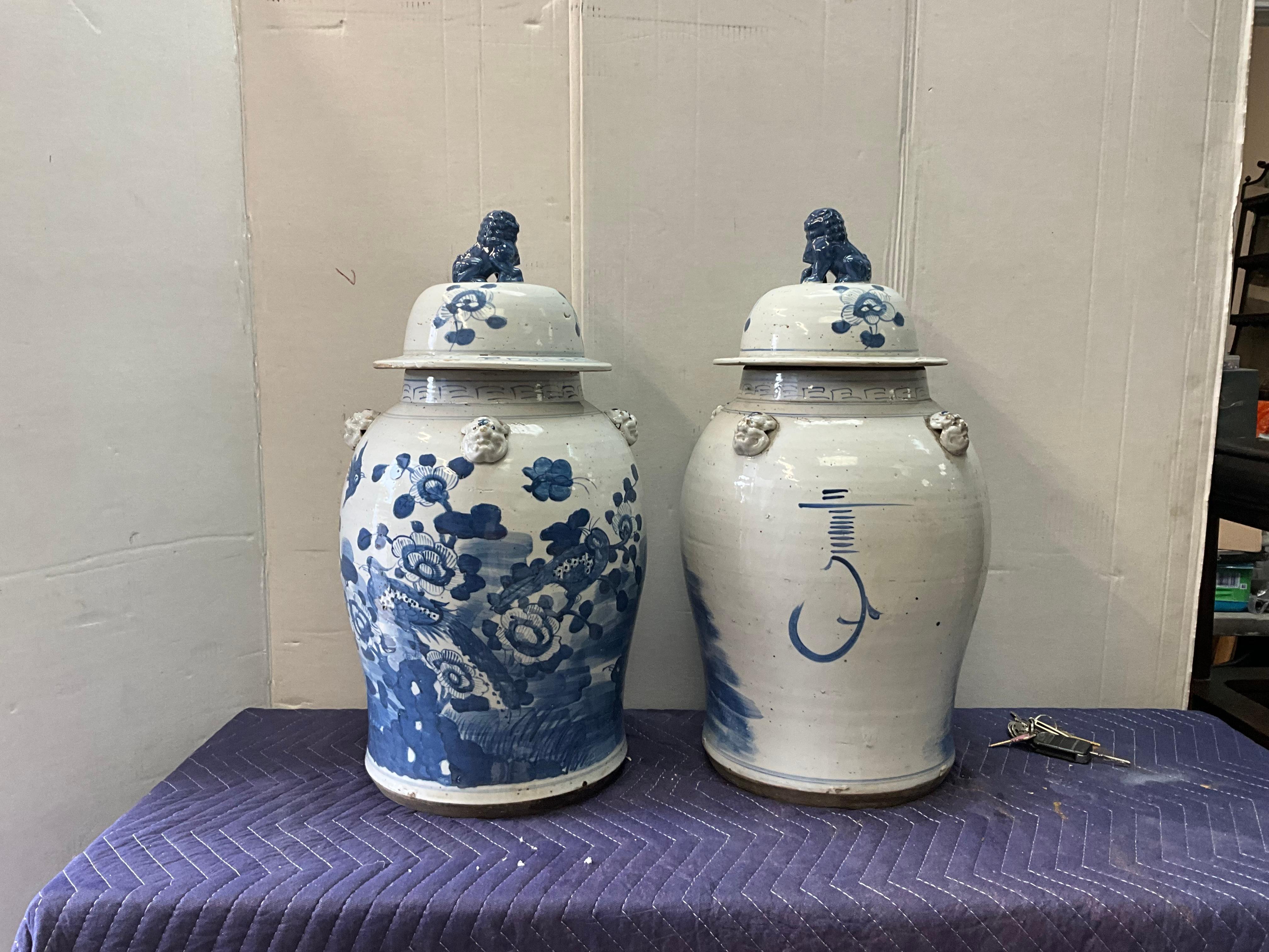 Large 20th-C. Chinese Export Style Blue & White Ginger Jars W/ Foo Dogs - Pair 5
