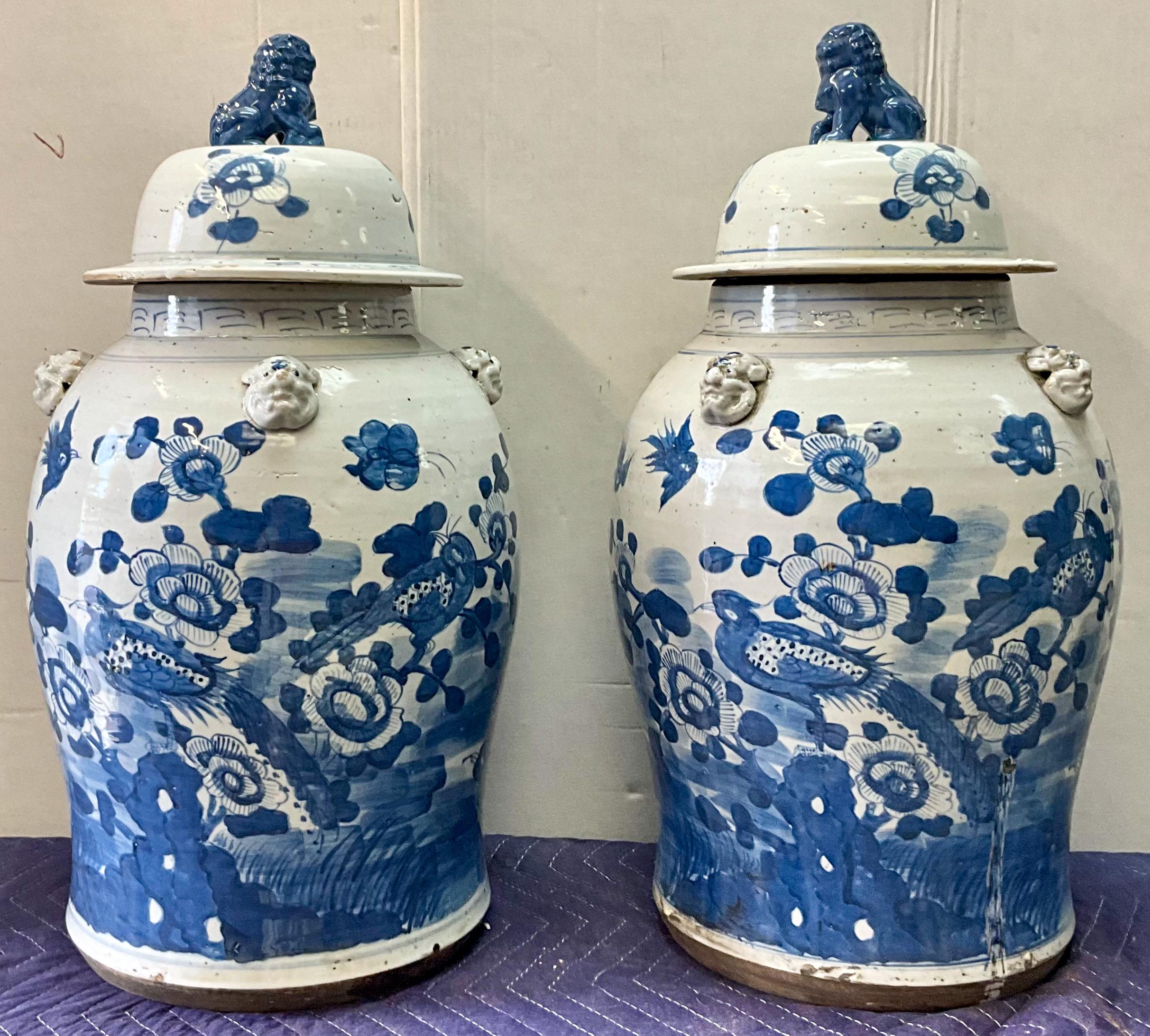 Large 20th-C. Chinese Export Style Blue & White Ginger Jars W/ Foo Dogs - Pair 1