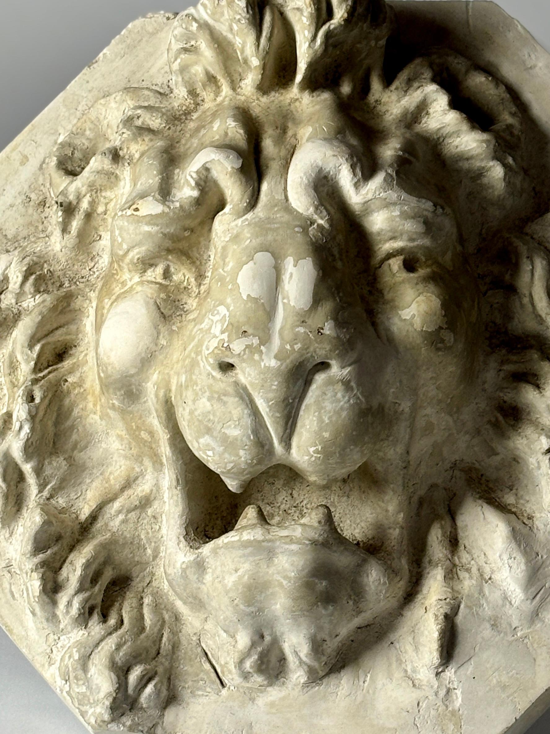 Gran máscara de león de escayola en bajorrelieve del siglo XX Yeso en venta