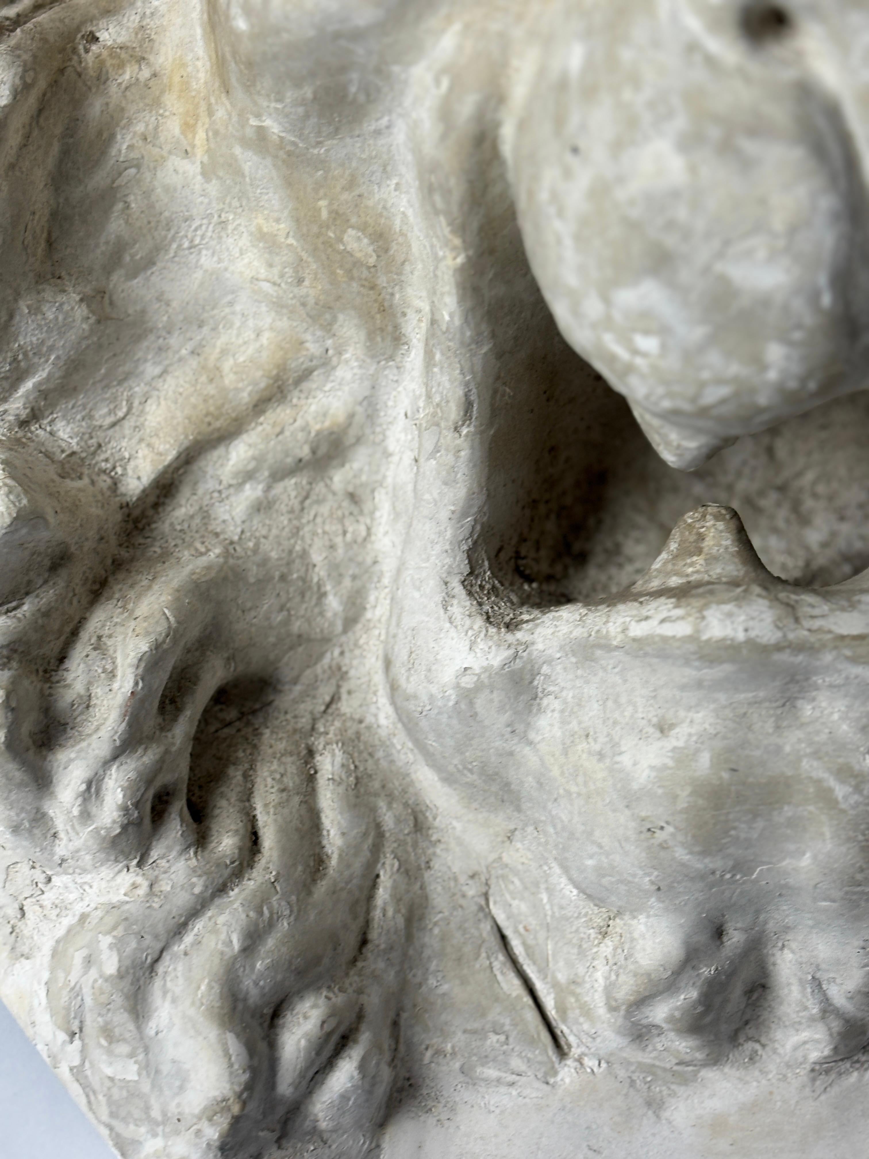 Gran máscara de león de escayola en bajorrelieve del siglo XX en venta 1