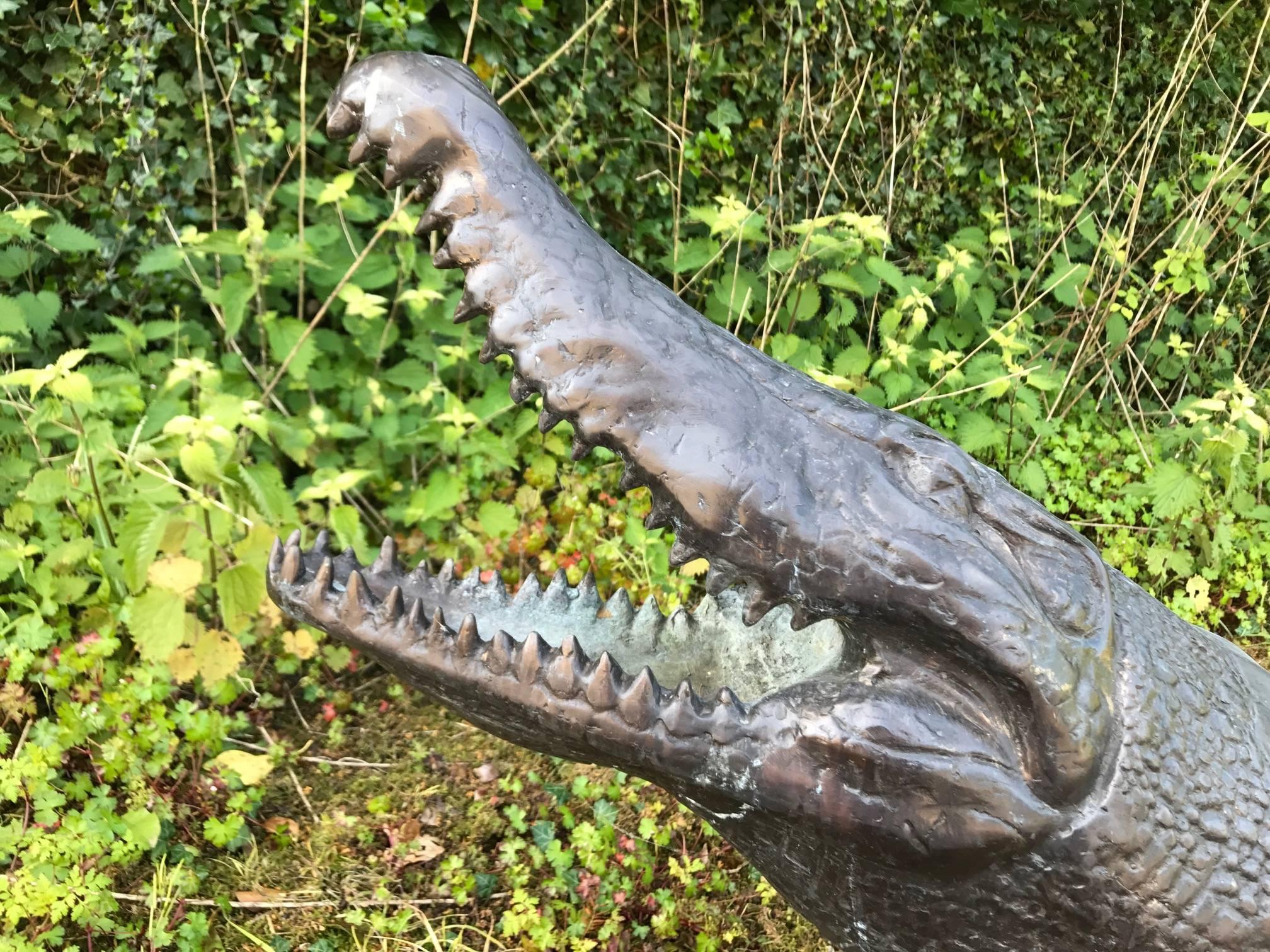 Large 20th century Bronze crocodile. Basking life size crocodile made in the 1990s.