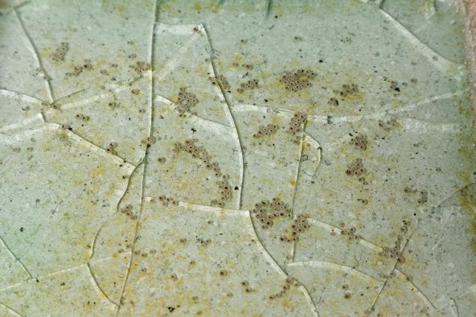 Grande piatto o vide poche in ceramica marrone e verde del XX secolo di Annick Lodereau In condizioni ottime in vendita a Neuilly-en- sancerre, FR