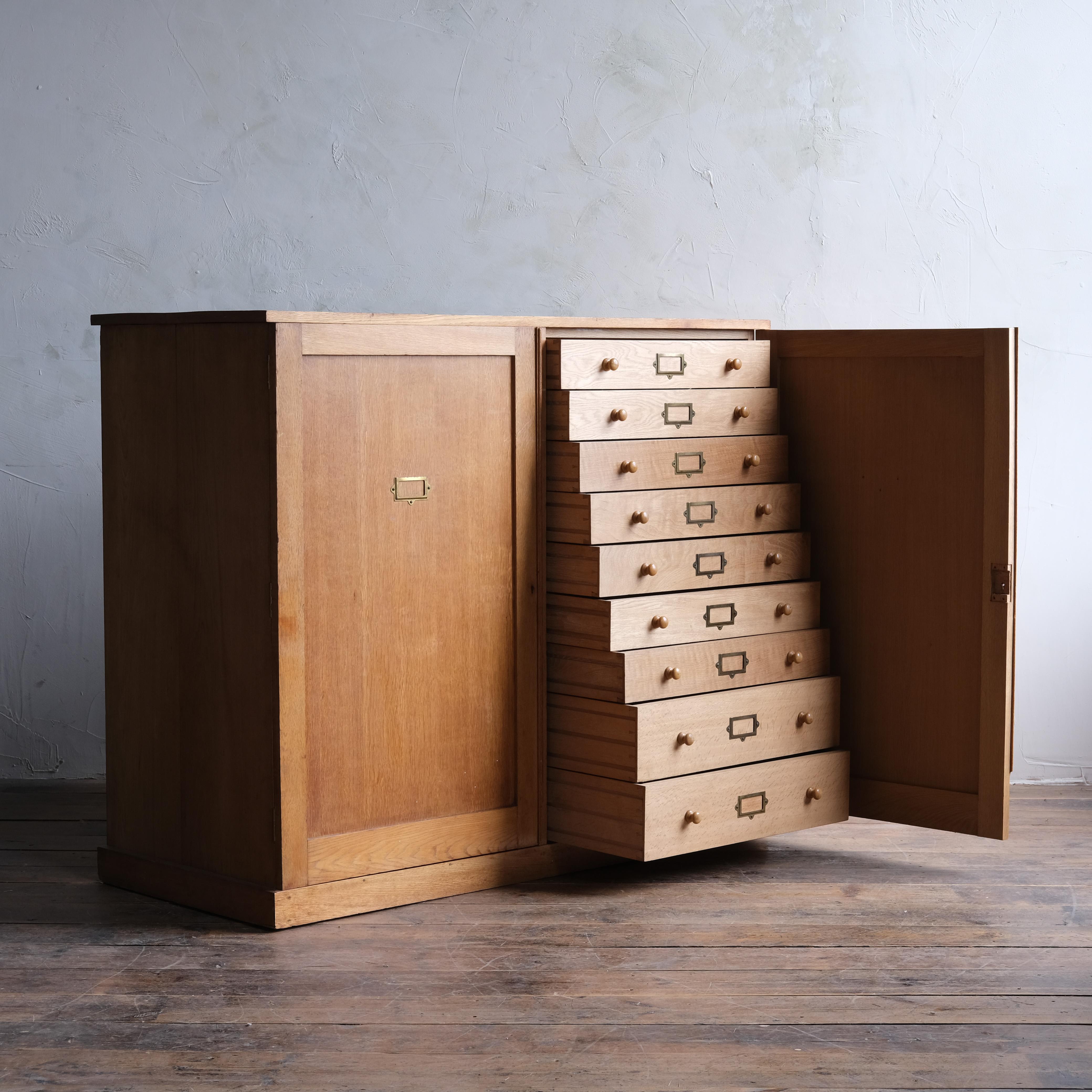 Large 20th Century Oak Collectors / Museum Drawers 2