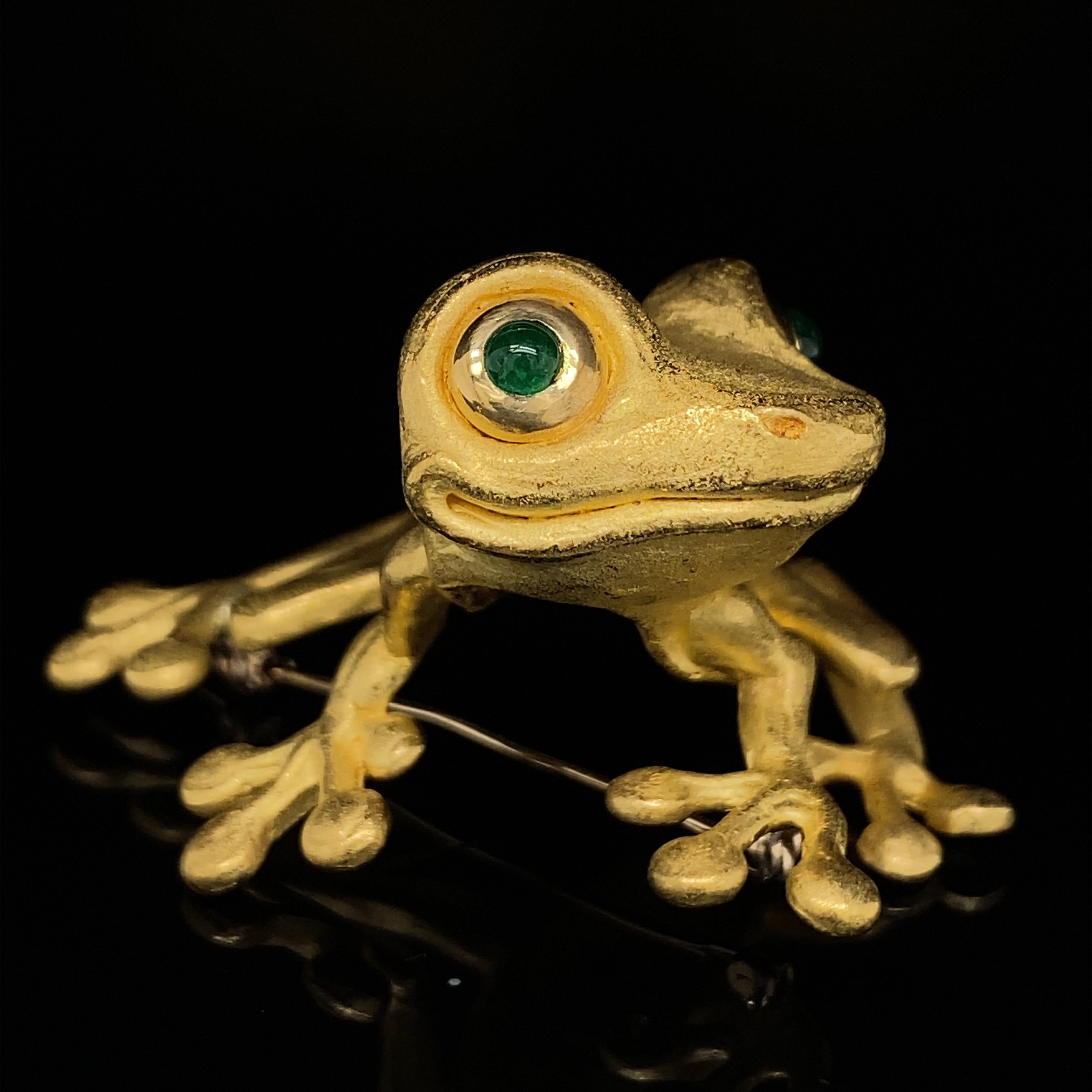 emerald eyed tree frog