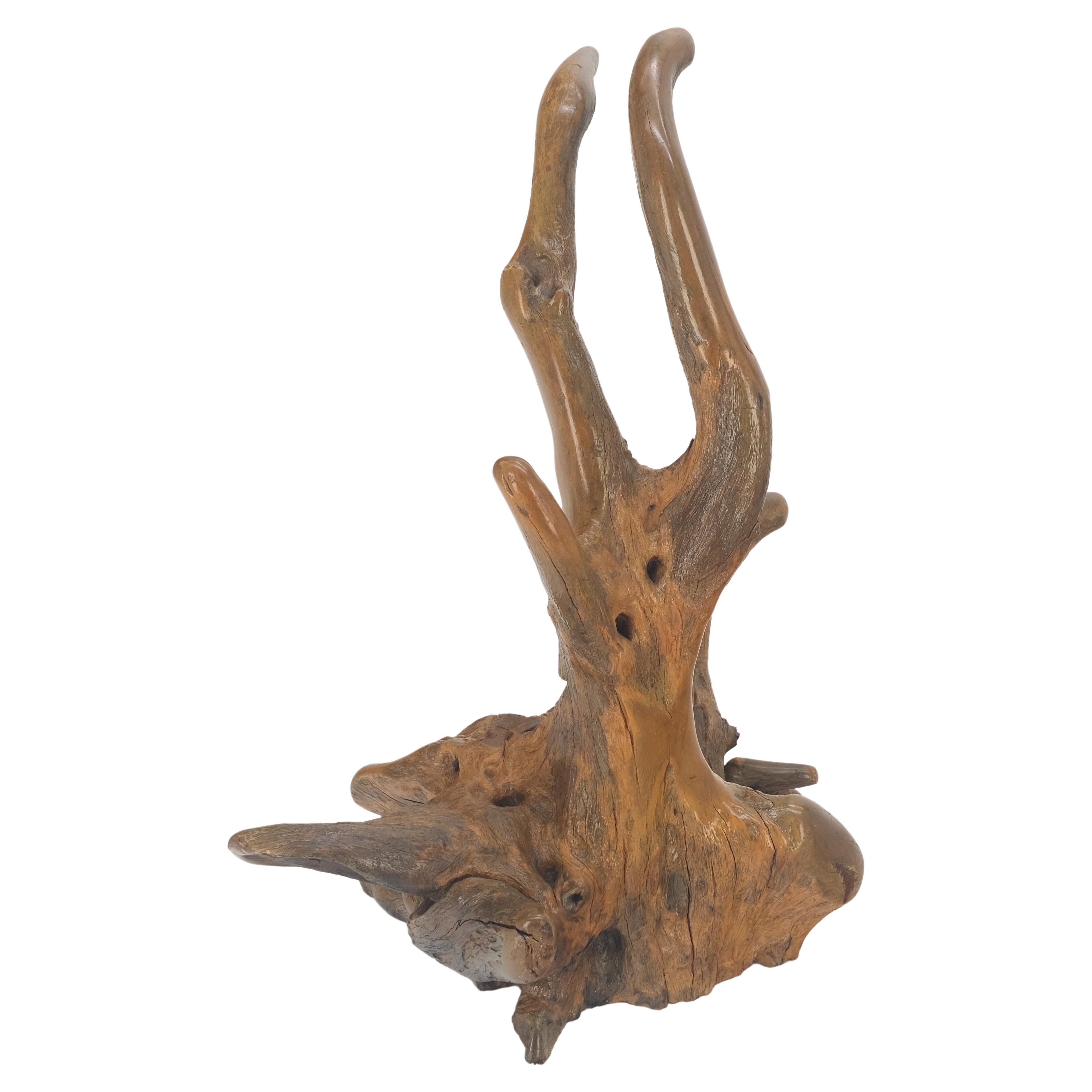 Large 25" Tall Artist Signed Driftwood Root Burl Wood Natural Sculpture NICE! For Sale