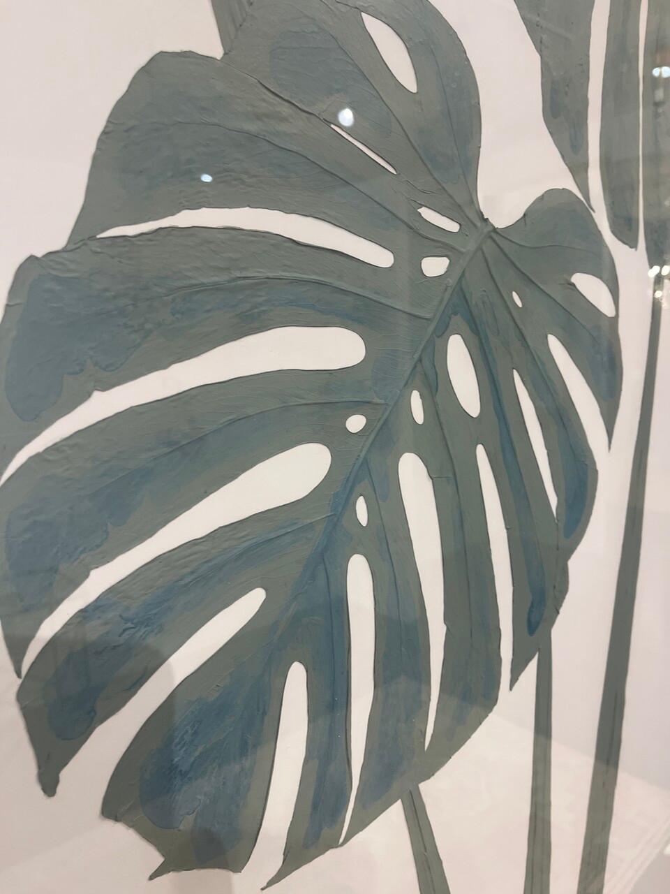 Großes 3-stämmiges handkoloriertes Monstera-Blatt-Exemplar (Gepresst) im Angebot