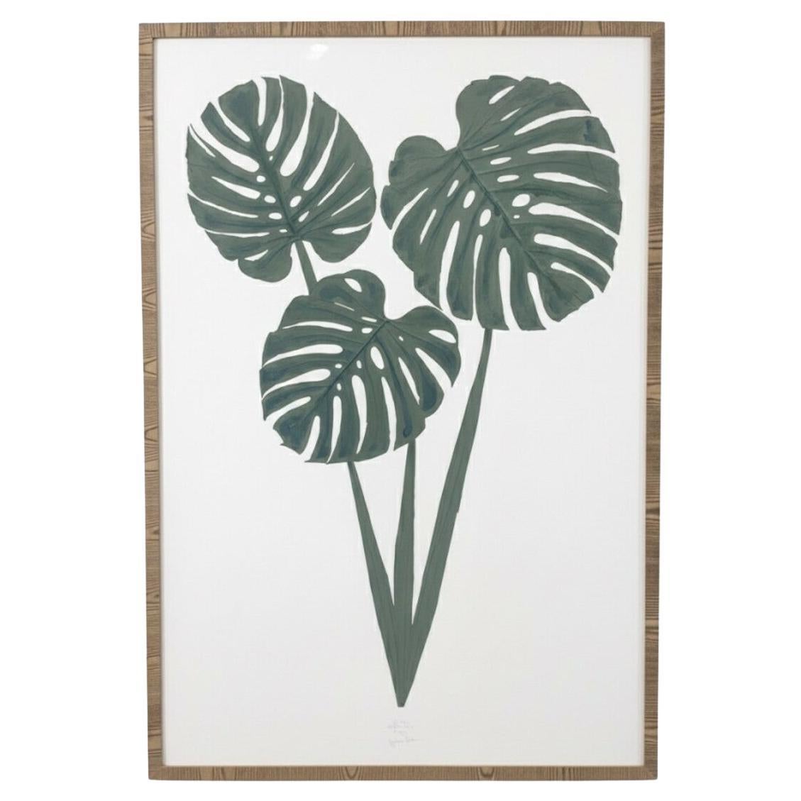 Espécimen grande de hoja de Monstera coloreada a mano de 3 tallos