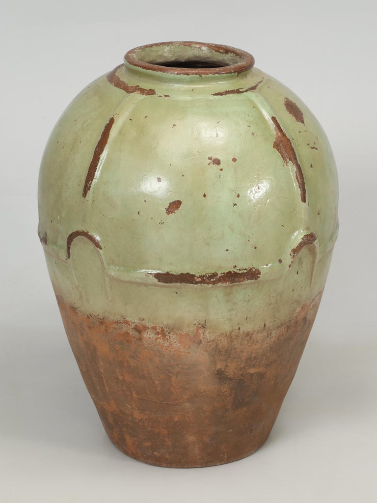 Large High Vintage Garden Urn, Olive Oil Jar, Planter or Vase For Sale