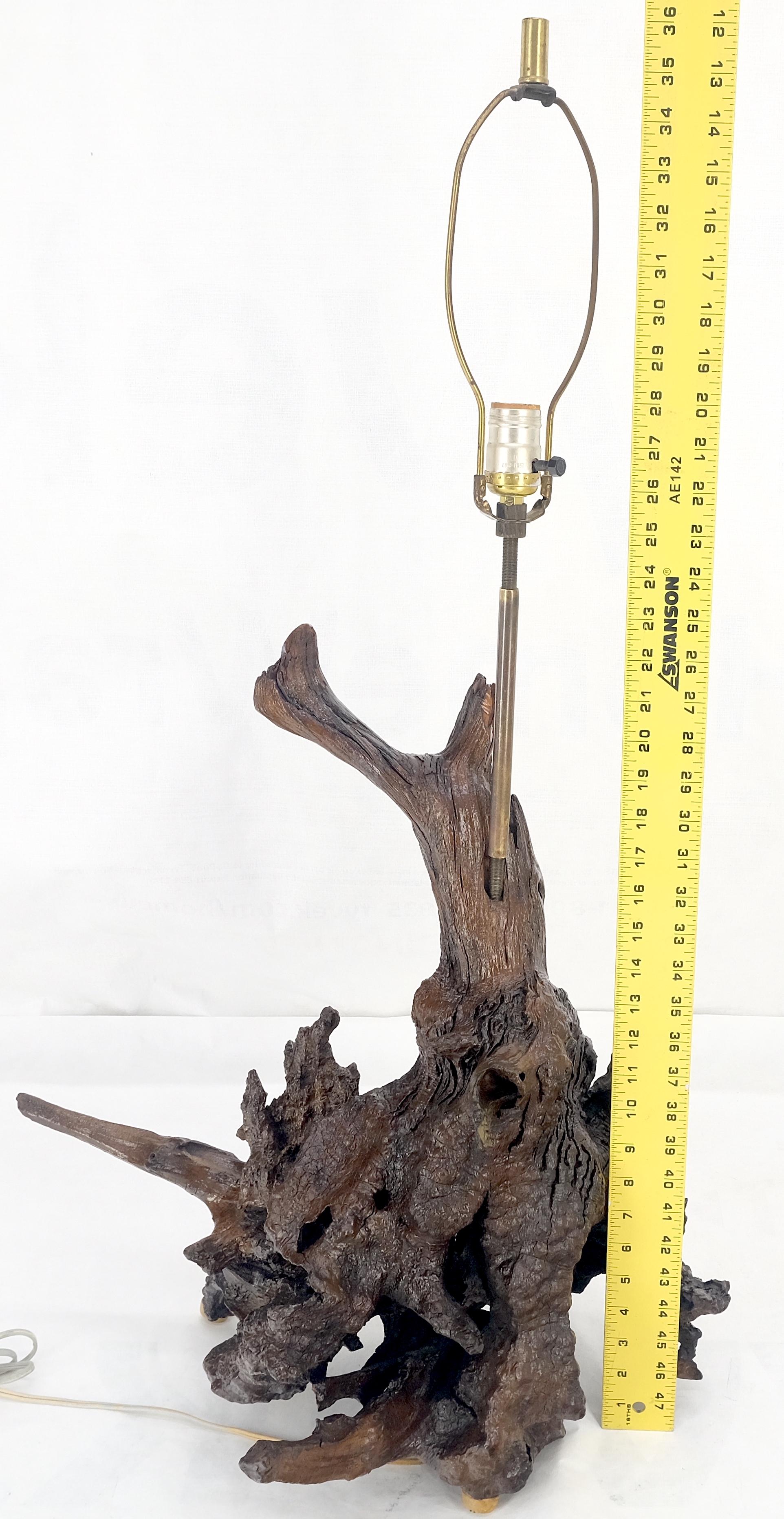 Large 37