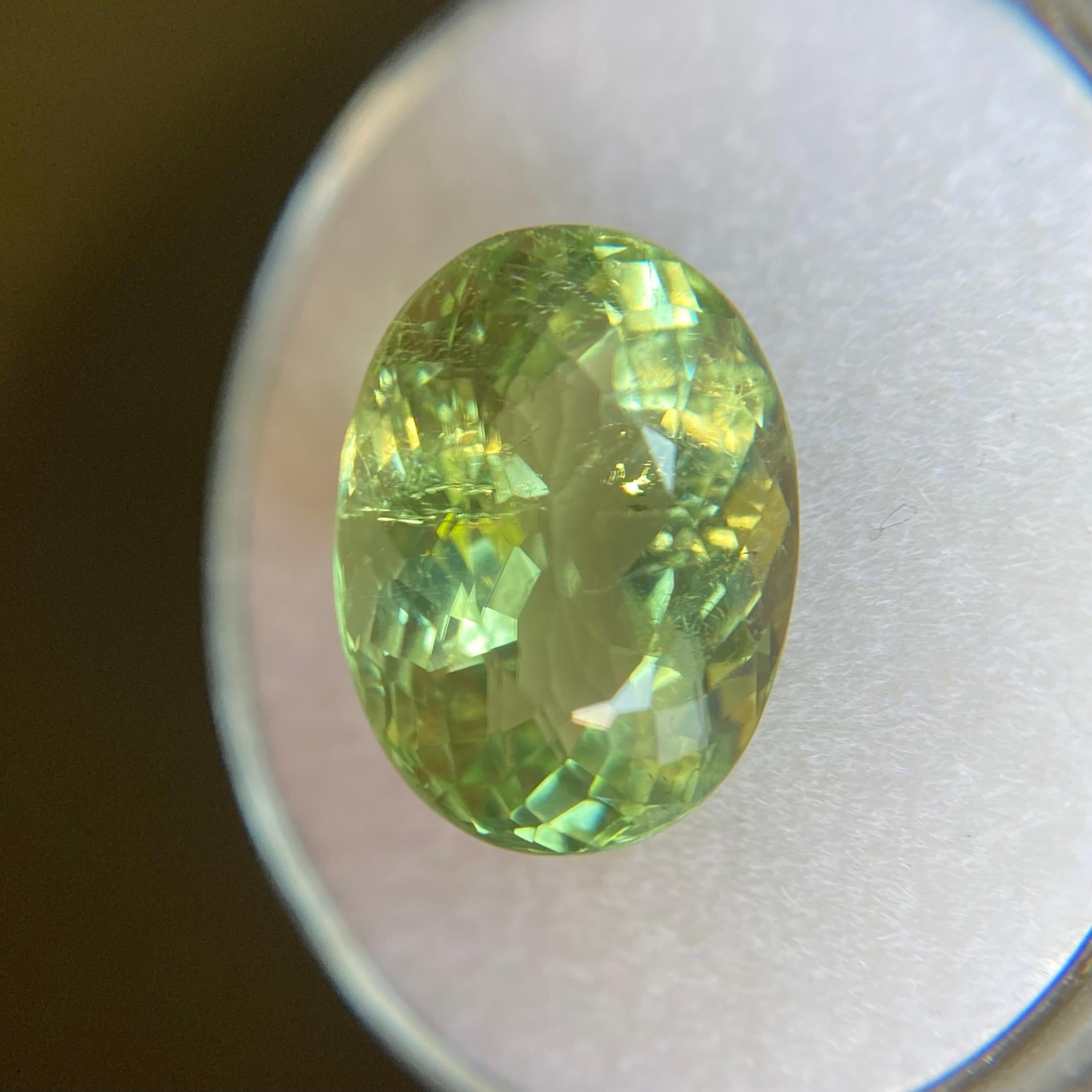 Large 6.35ct VIVID Green Tourmaline Oval Cut Loose Gemstone 6