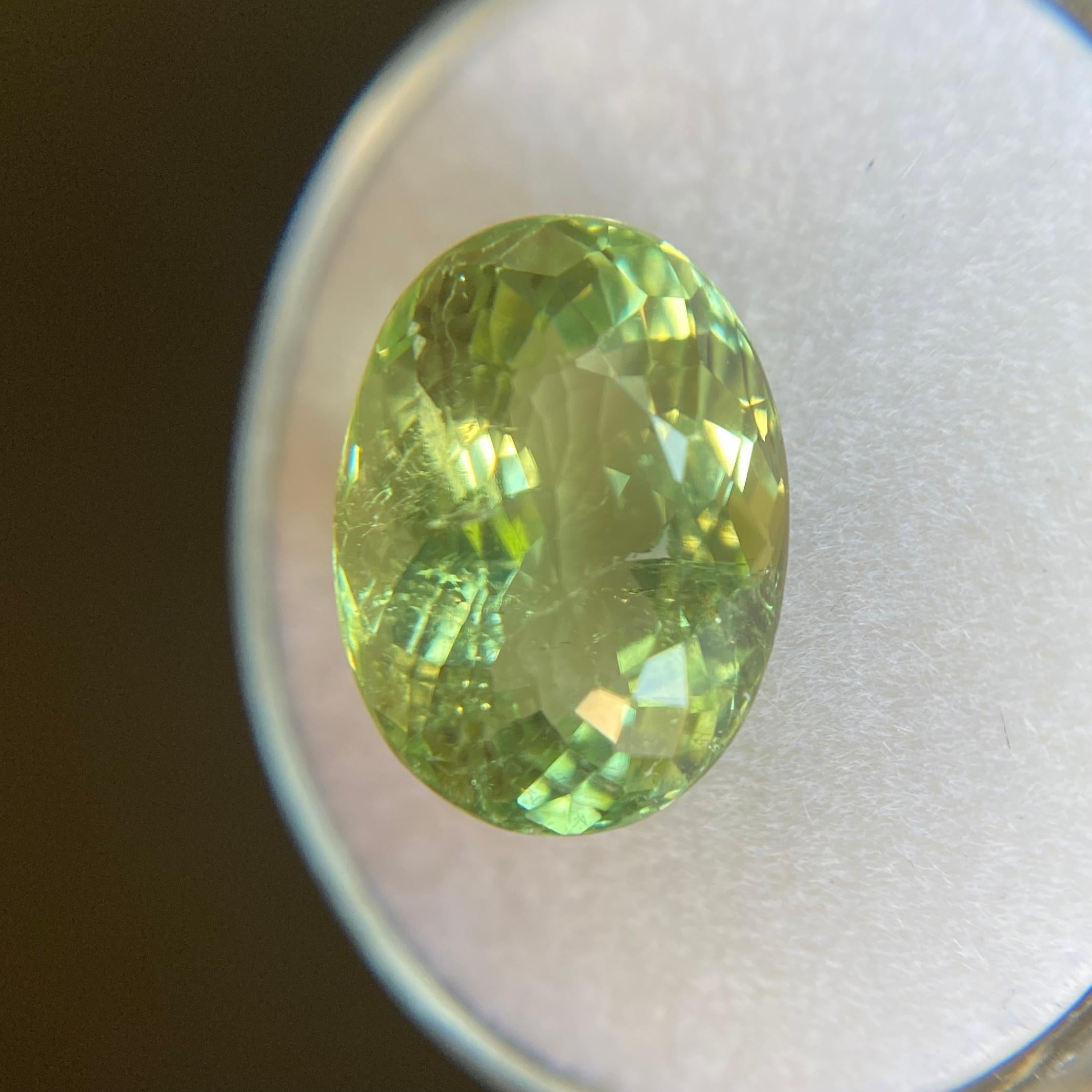 Large 6.35ct VIVID Green Tourmaline Oval Cut Loose Gemstone In New Condition In Birmingham, GB