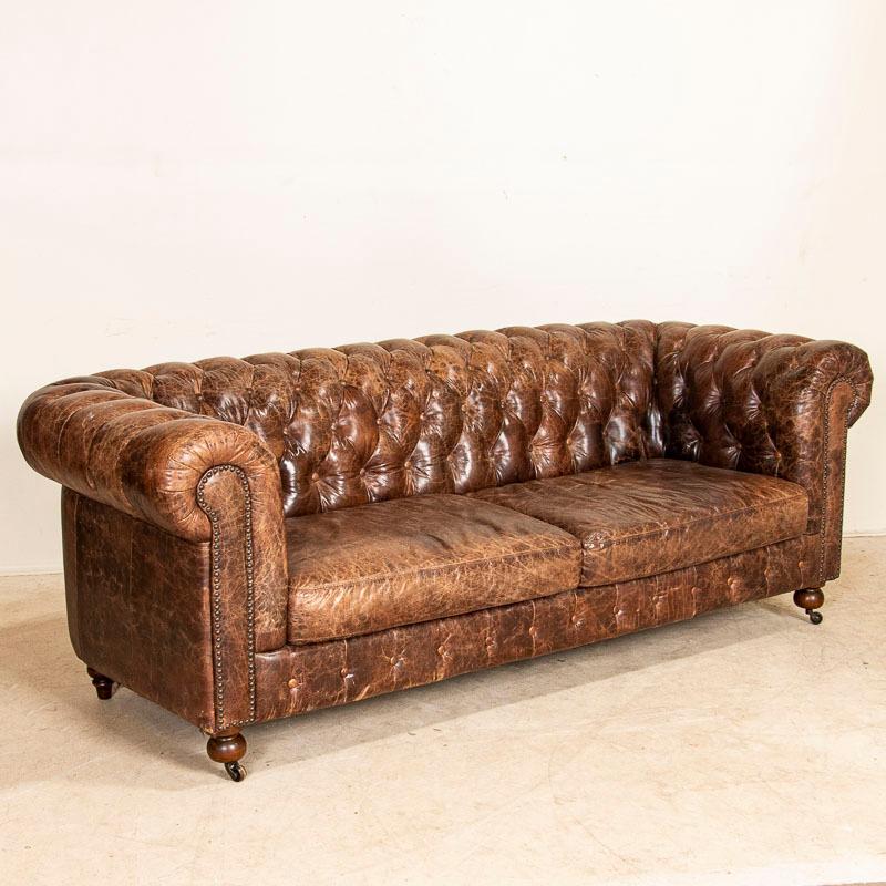 Vintage leather furniture is highly sought after these days, making this 7' sofa a great find. The tufted Chesterfield back with heavy rolled arms is classic and inviting. The dark brown leather is in very good condition, all buttons are in place,