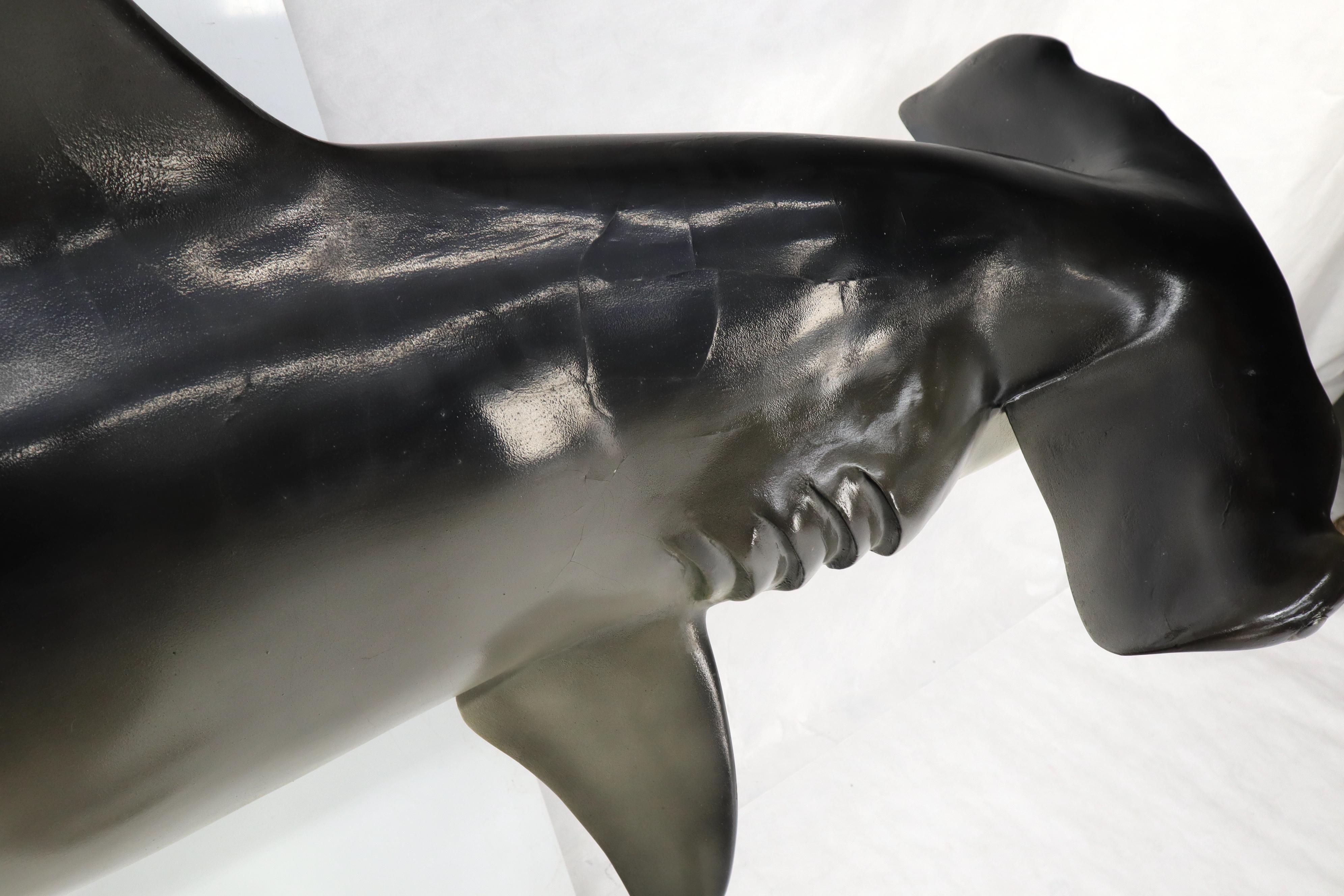 Grande sculpture murale longue suspendue de poisson de requin à tête de marteau avec de vrais dents de vache en vente 6