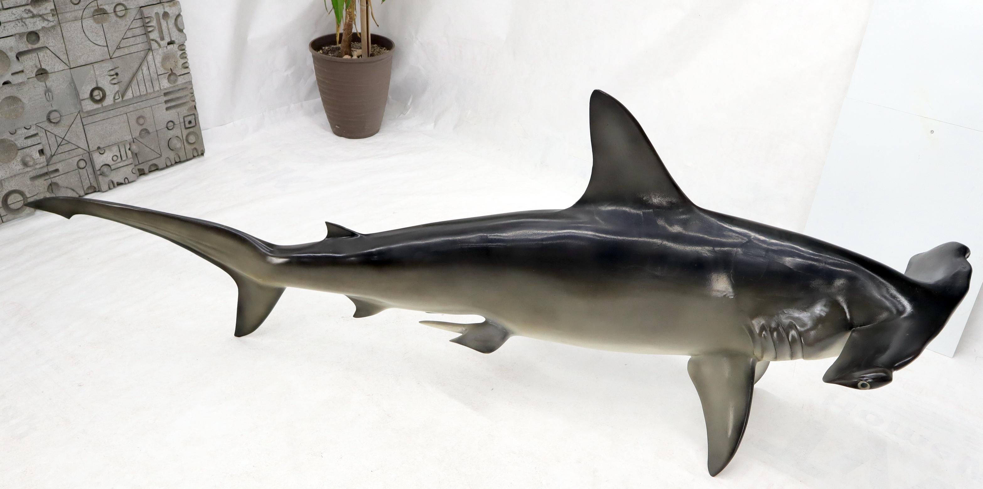 Grande sculpture murale longue suspendue de poisson de requin à tête de marteau avec de vrais dents de vache en vente 8