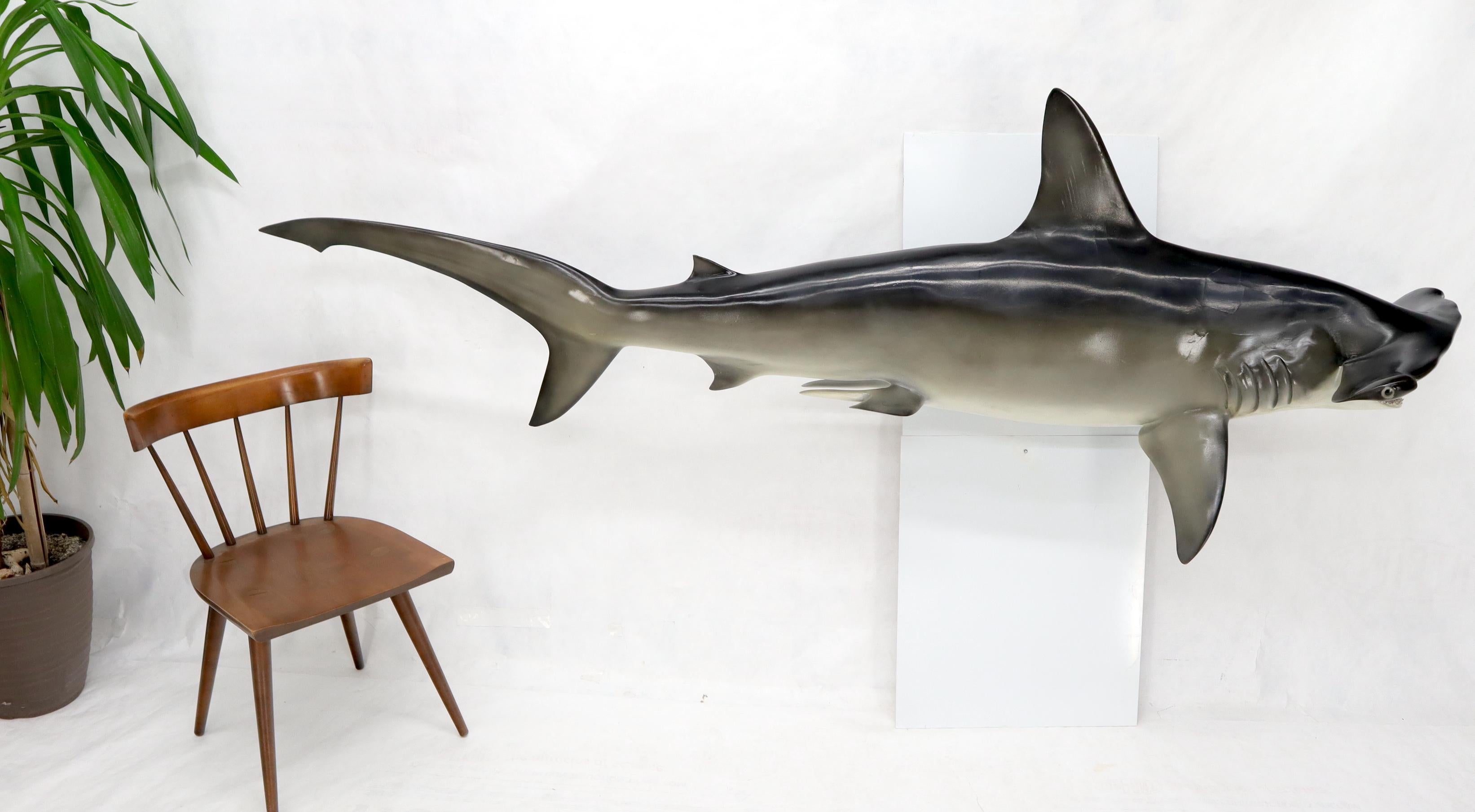 Grande sculpture murale longue suspendue de poisson de requin à tête de marteau avec de vrais dents de vache en vente 9