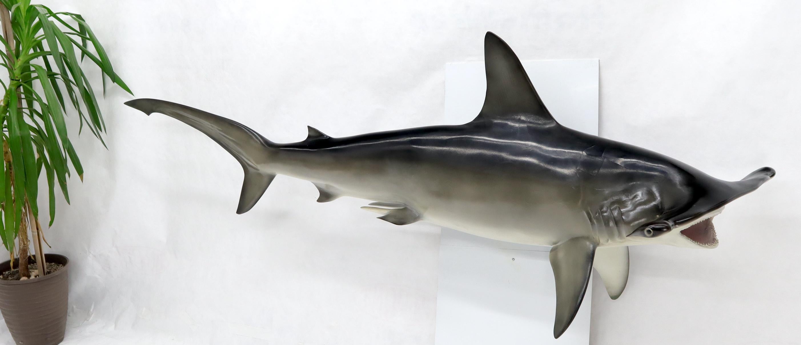 Large 8' long wall hanging sculpture of a hammerhead shark.