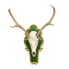 Large 8 Pointer Red Deer Trophy on Wooden Plaque