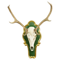 Large 8 Pointer Red Deer Trophy on Wooden Plaque