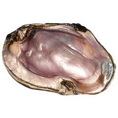 Grand fourreau d'ormeau ou de coquille d'huître en violet et rose nacré