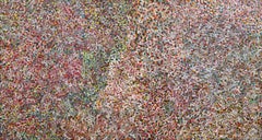 Gran cuadro aborigen contemporáneo Bush Plum de Polly Ngale