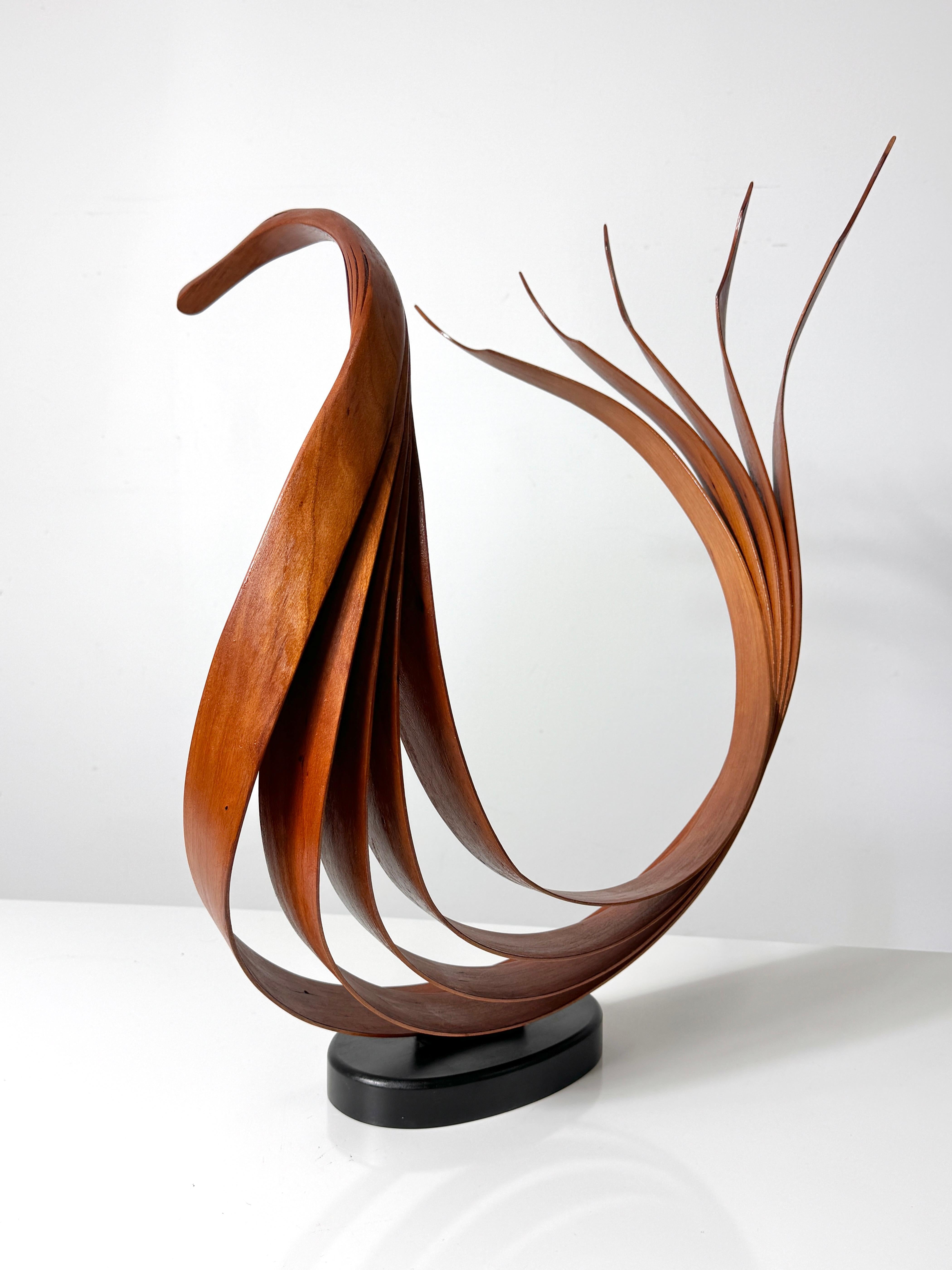 Sculpture d'oiseaux à grande échelle du début du 21e siècle par l'artiste québécois Eric TARDIF

Lamelles de cerisier pliées à la vapeur, formées en un élégant oiseau abstrait avec un œil en laiton.
Monté sur un socle en bois noir signé

Largeur de