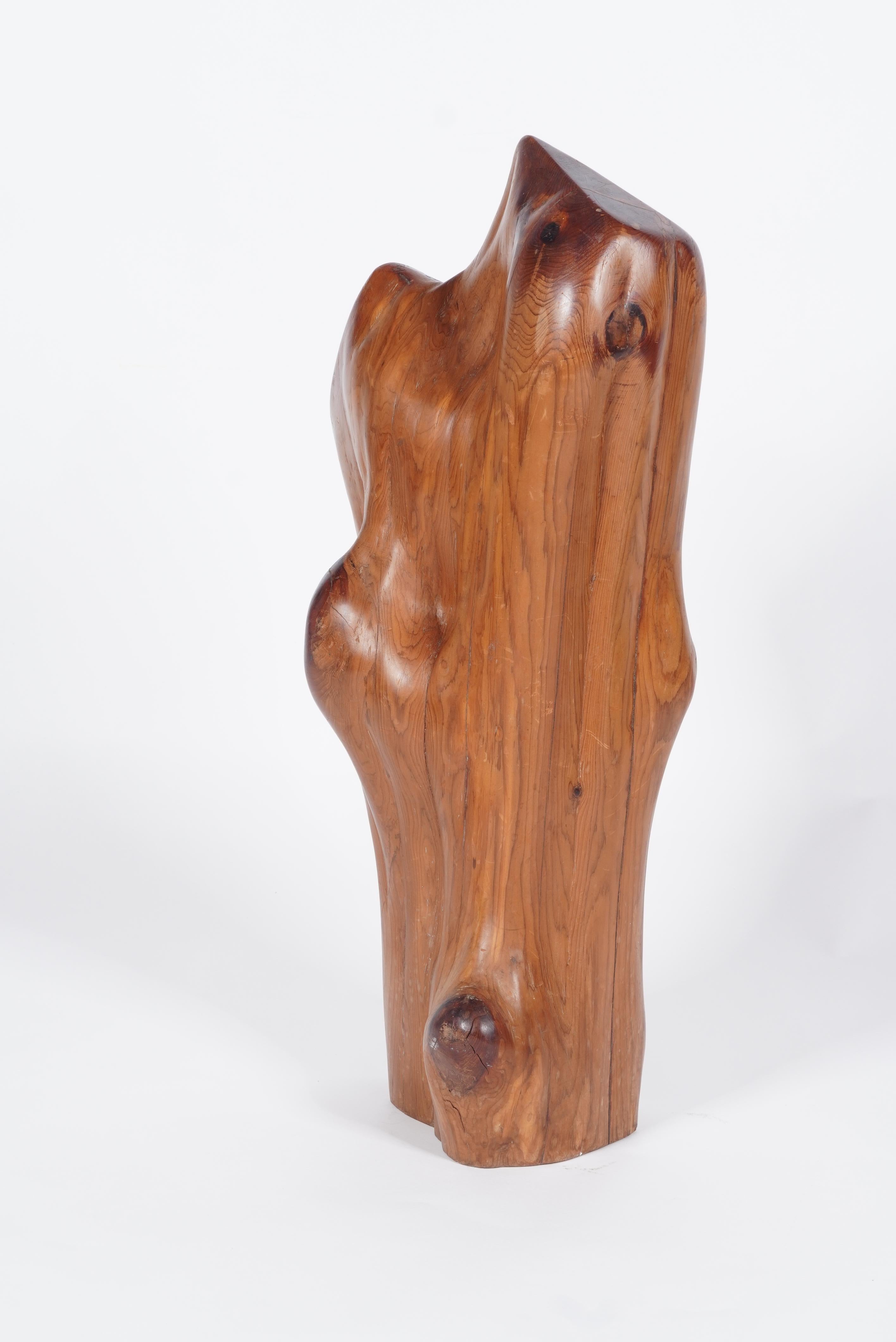 Organic Modern Large Abstract Wooden Sculpture