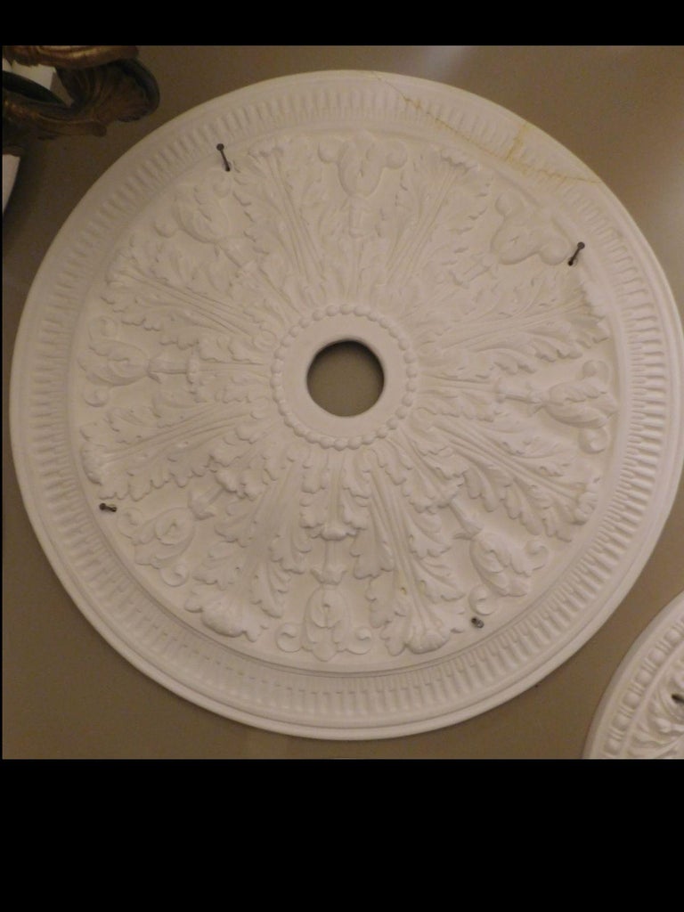 "Large Acanthus" Plaster Ceiling Medallions For Sale at 1stDibs