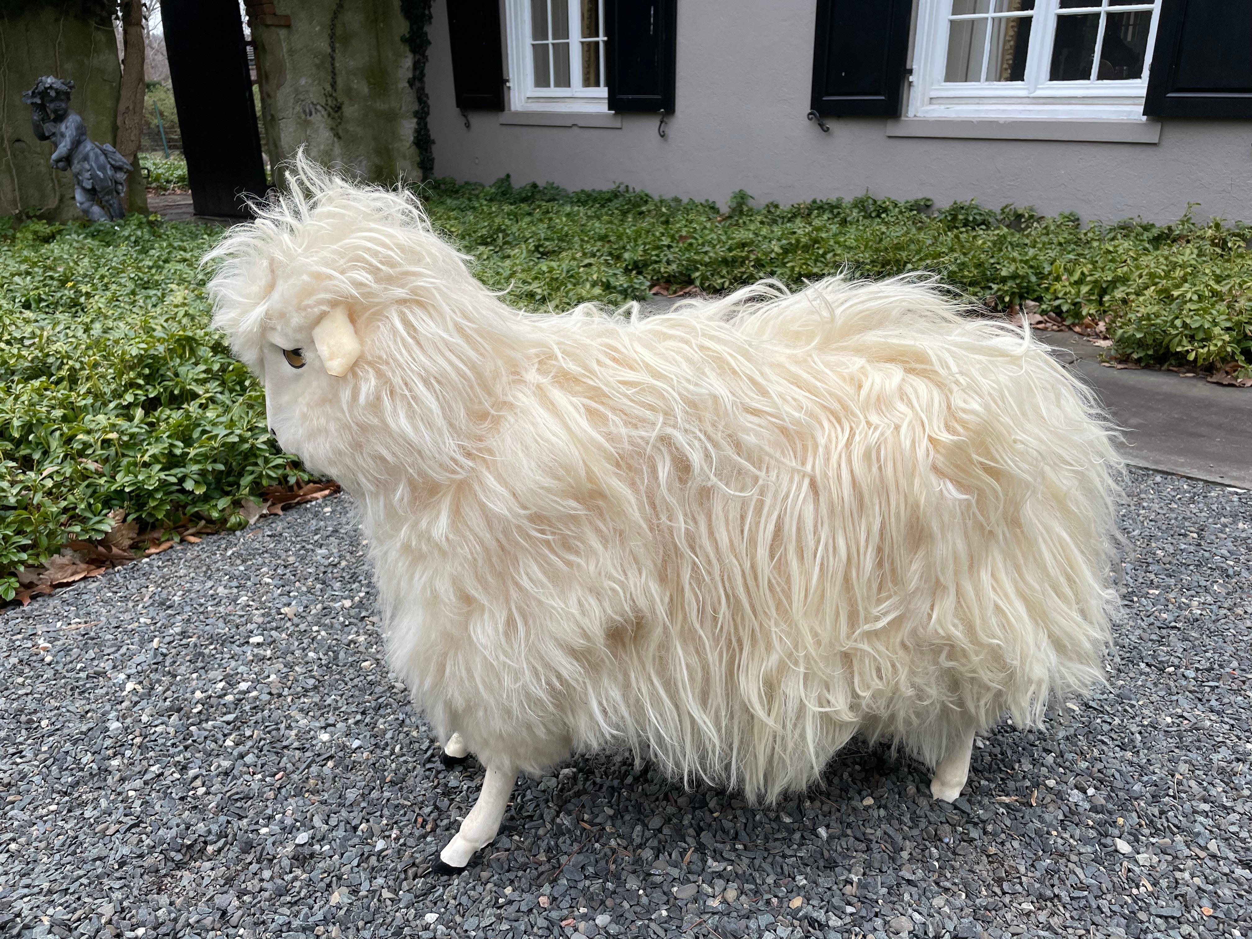 lalanne sheep for sale