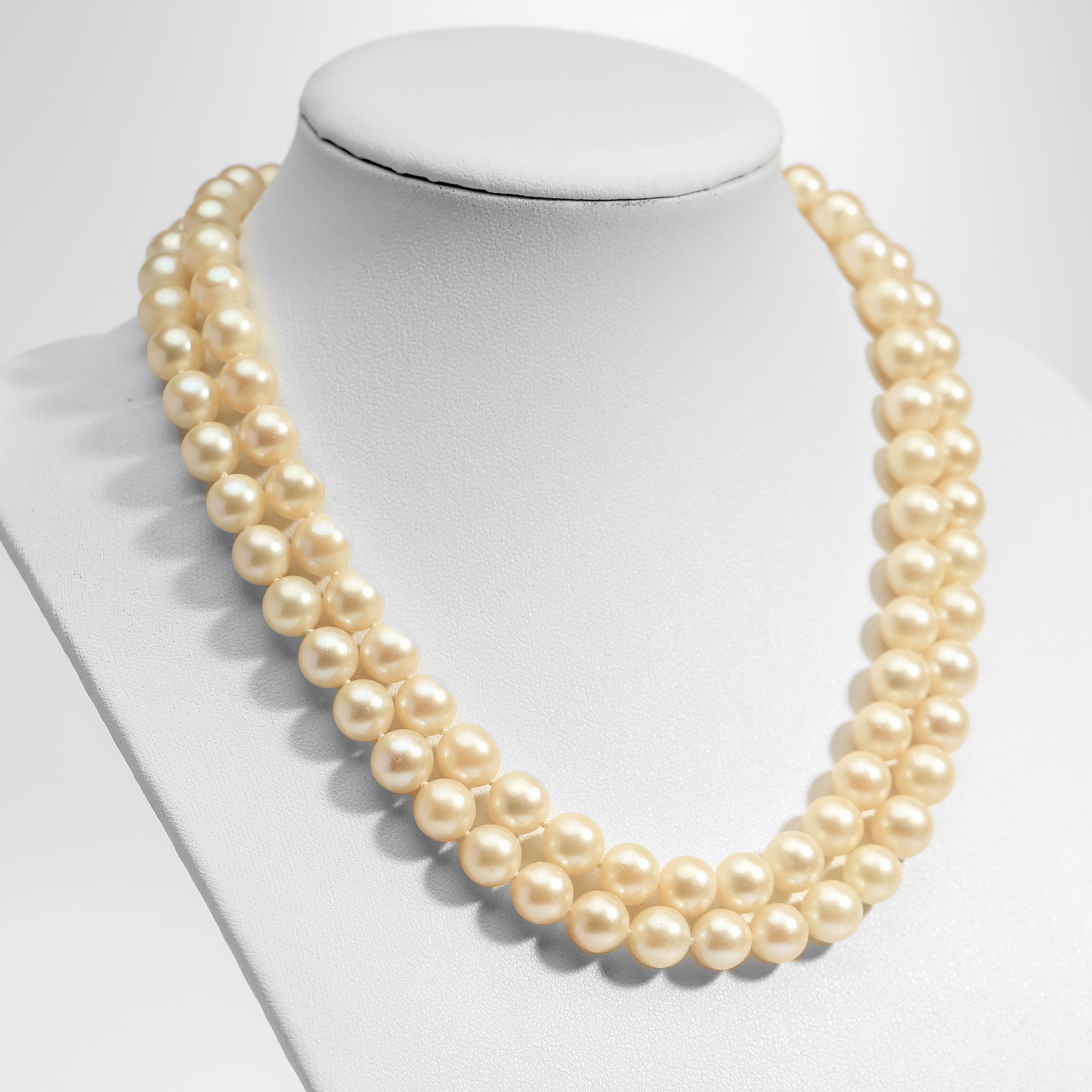 A double strand of huge, luxurious warm-toned cultured Akoya pearls -what a treasure!

The most classic, timeless necklace there is: a double strand of large and fine cultured Akoya pearls in golden cream with a soft pink overtone. Akoya cultured