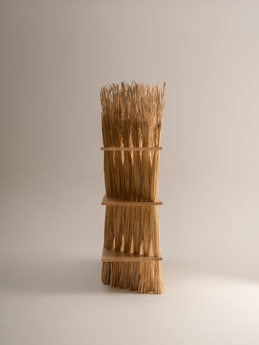 French Large AMAS Shelf, Ash wood, Handmade in France For Sale