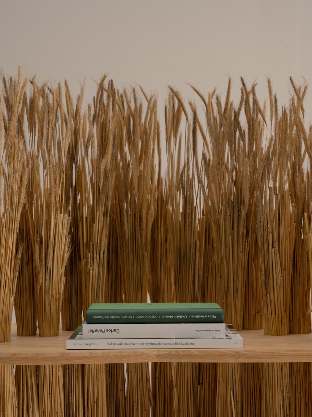 Straw Large AMAS Shelf, Ash wood, Handmade in France For Sale