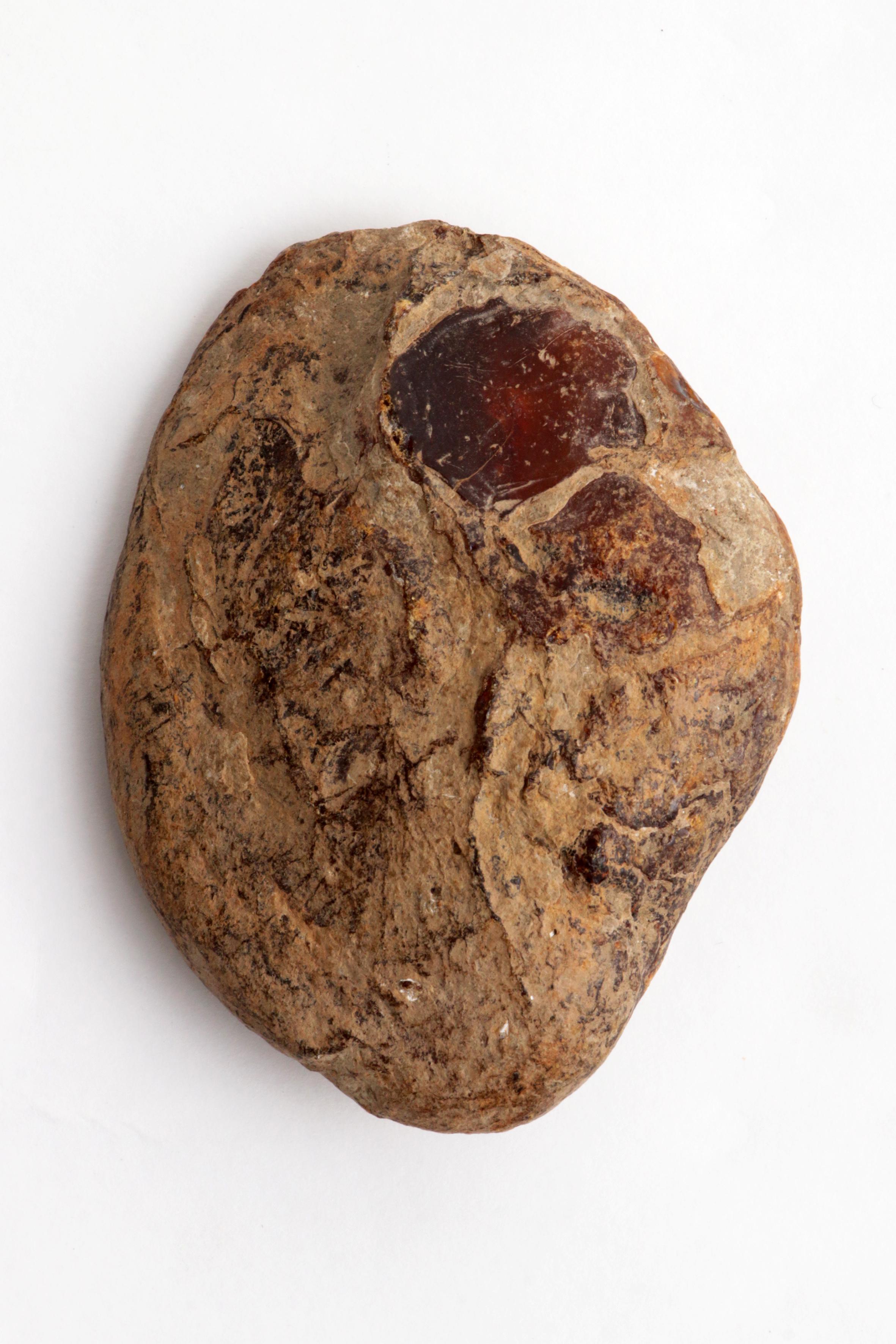 Baltic Large Amber Stone Beautiful Gemstone For Sale