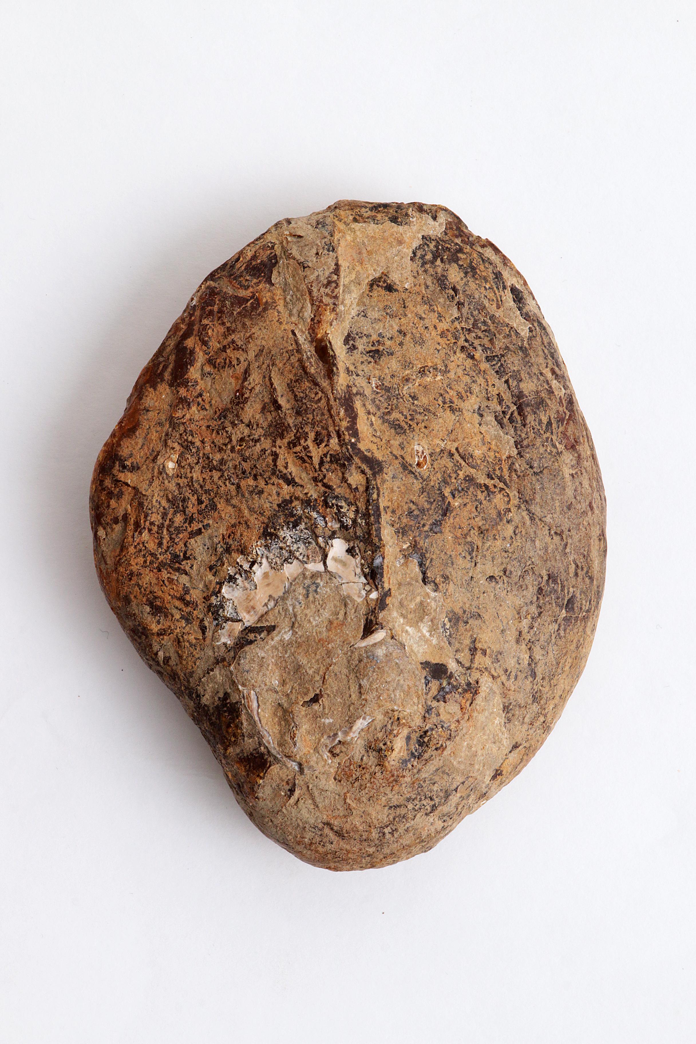 Large Amber Stone Beautiful Gemstone In Good Condition For Sale In Oirlo, LI