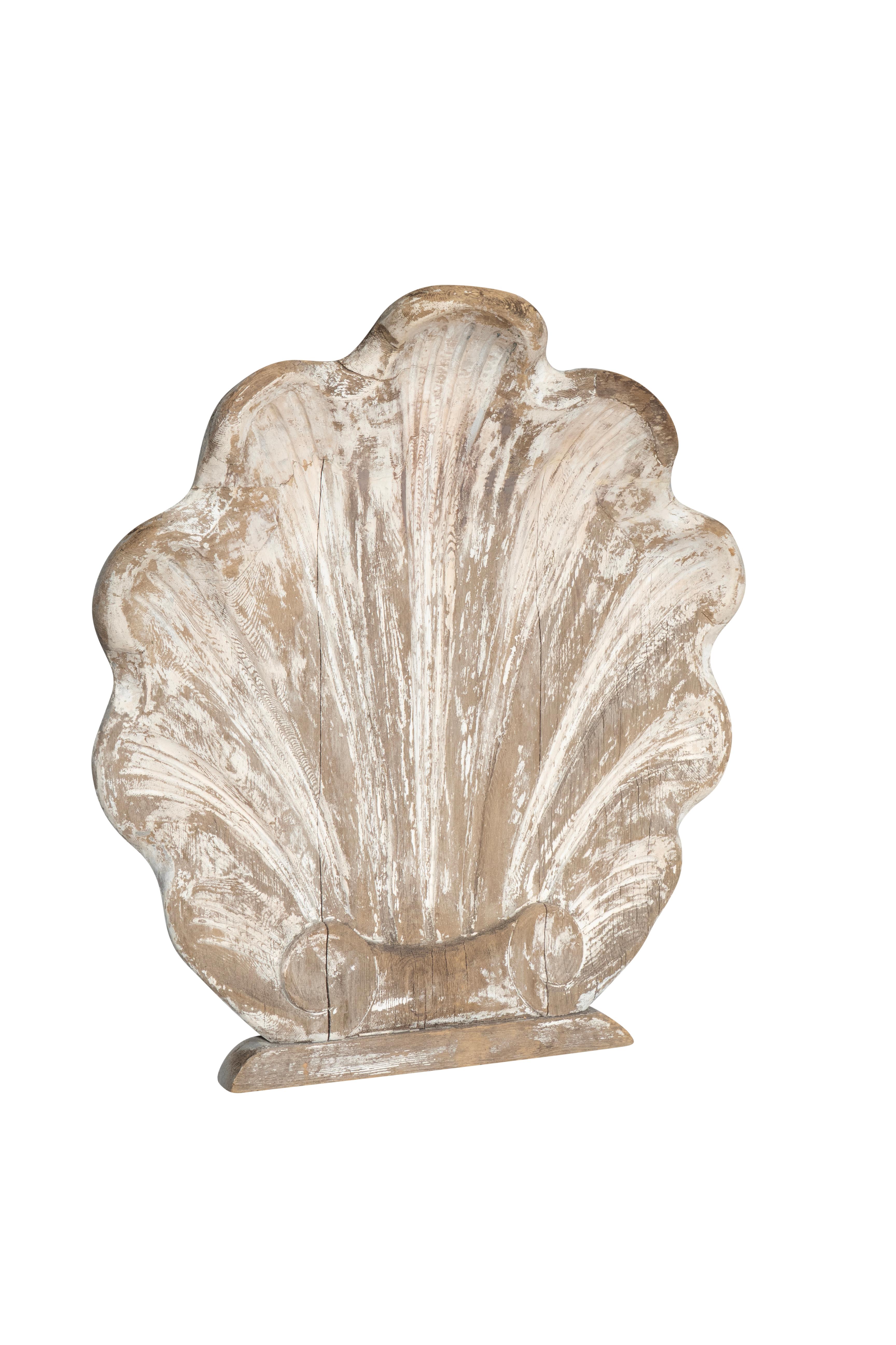 Large shell with distressed white paint.
