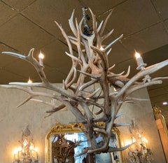 Large American elk horn chandelier with eight lights